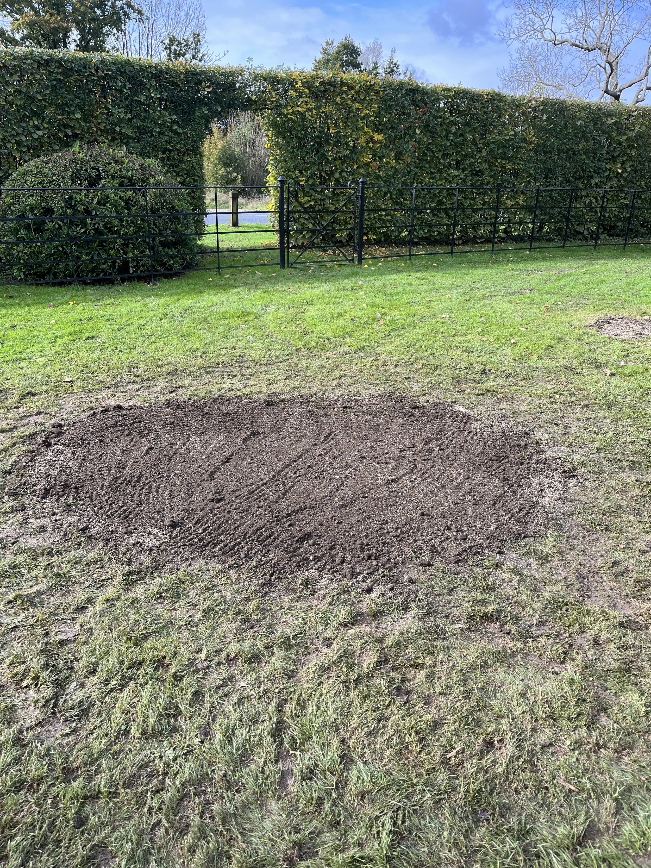 After Stump Grinding, with Top Soil & Grass Seed, Bodiam East Sussex