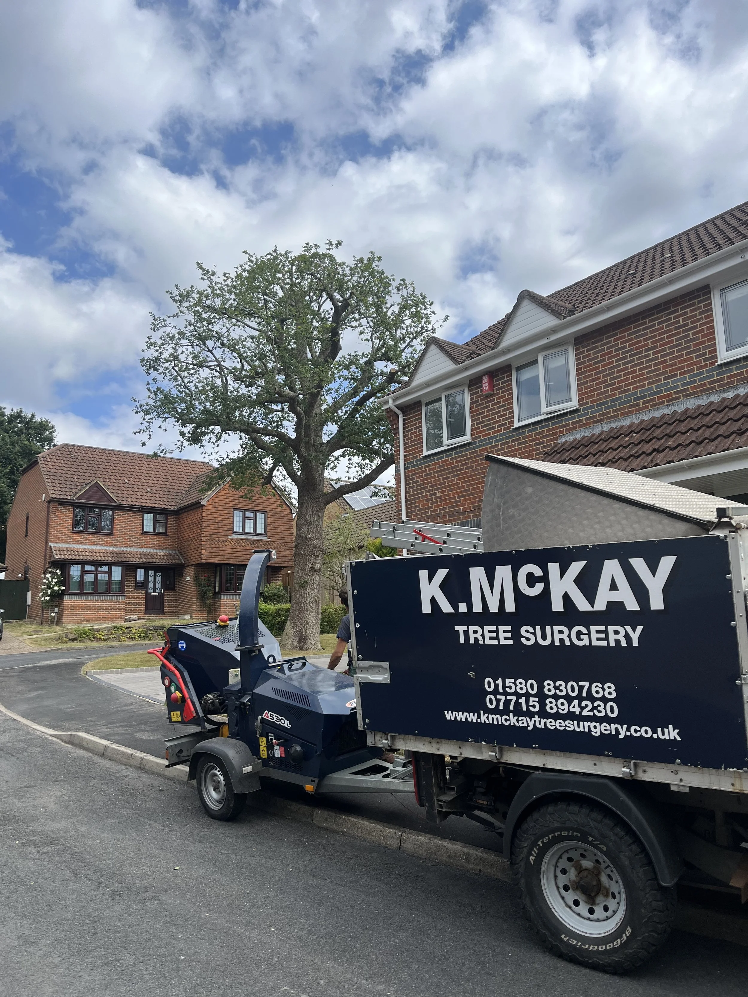 Oak Reduction with a Tree Preservation Order, Heathfield East Sussex