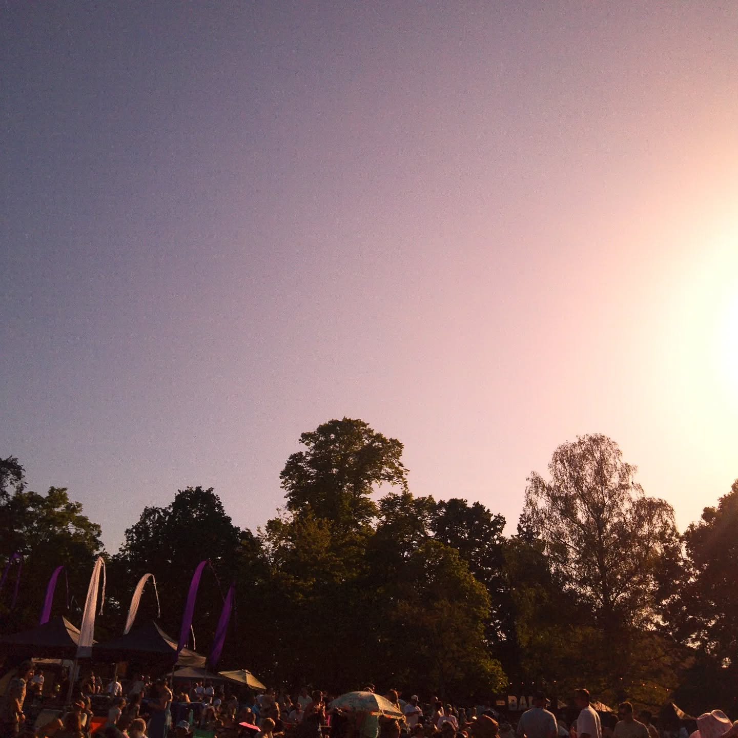 It's giving late nineties in both temperature and era.

Thank you @campsnapcamera I only dream in this colour scheme now.

📸: Me | Campsnap Pro
📍: @festivalinthegardens