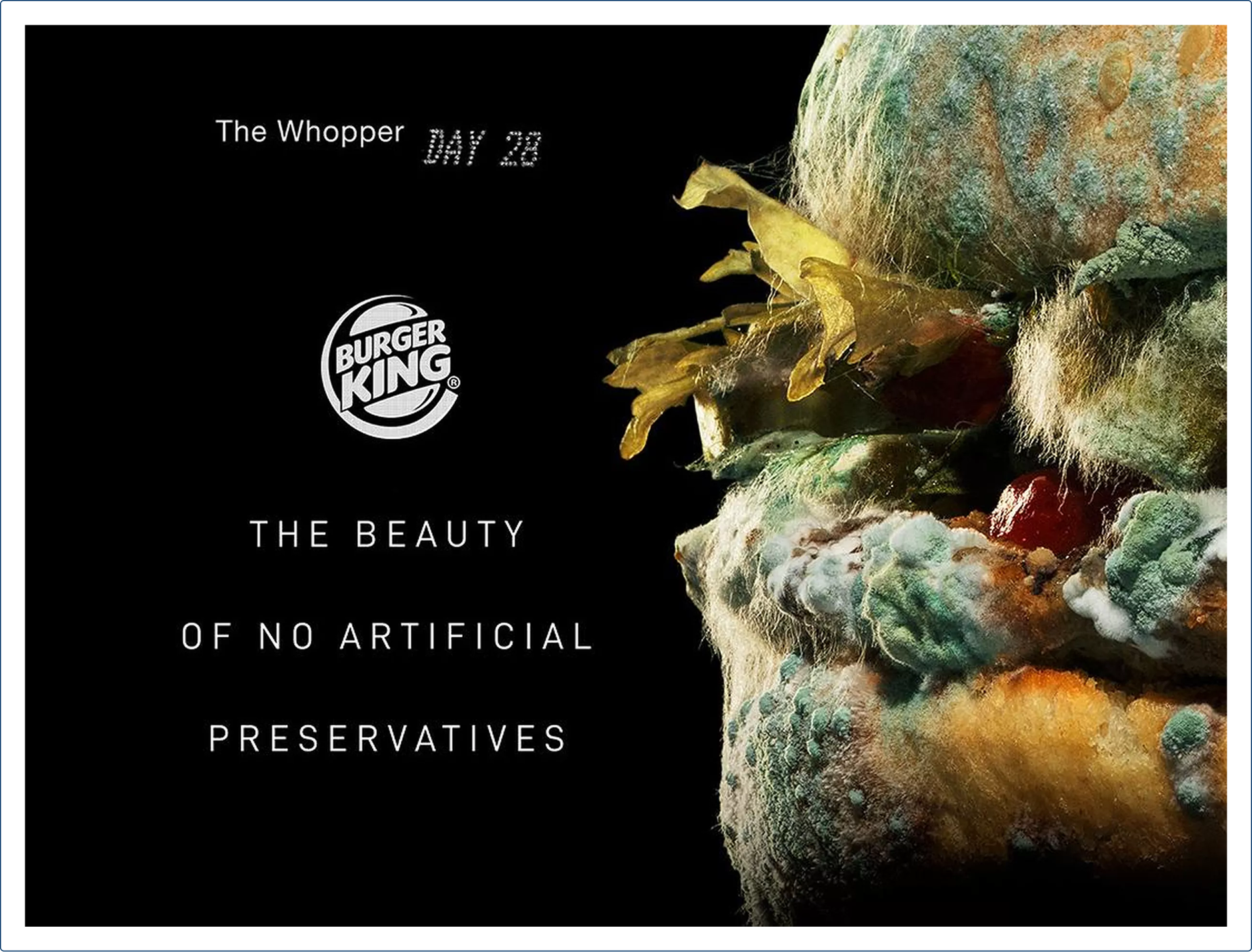 Von_restroff_Display_BurgerKing.png