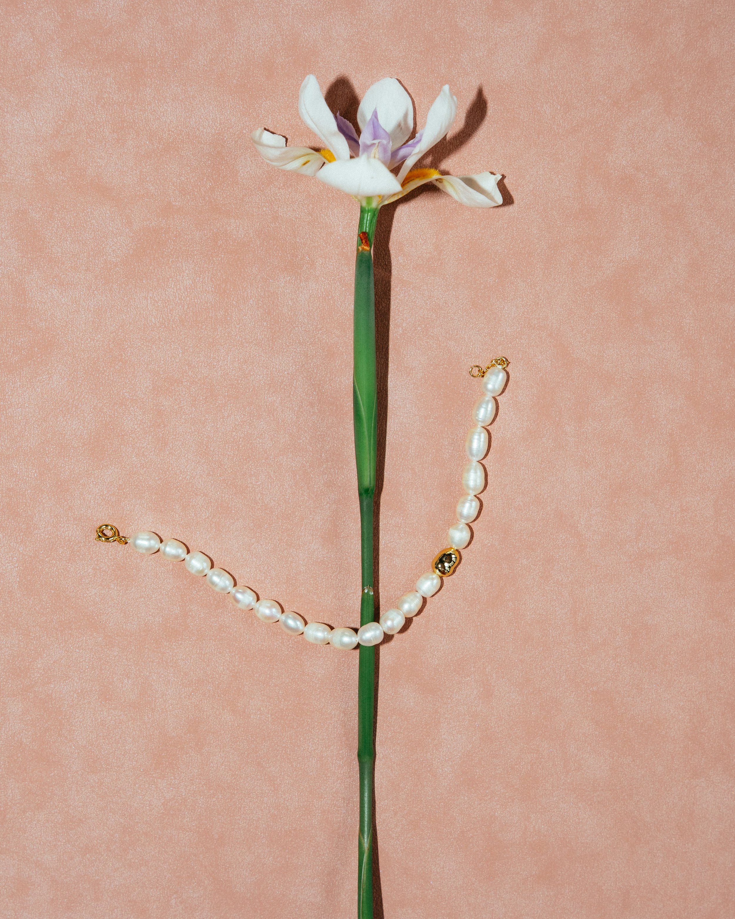 Rach Portfolio _ Product Lifestyle 4.jpg