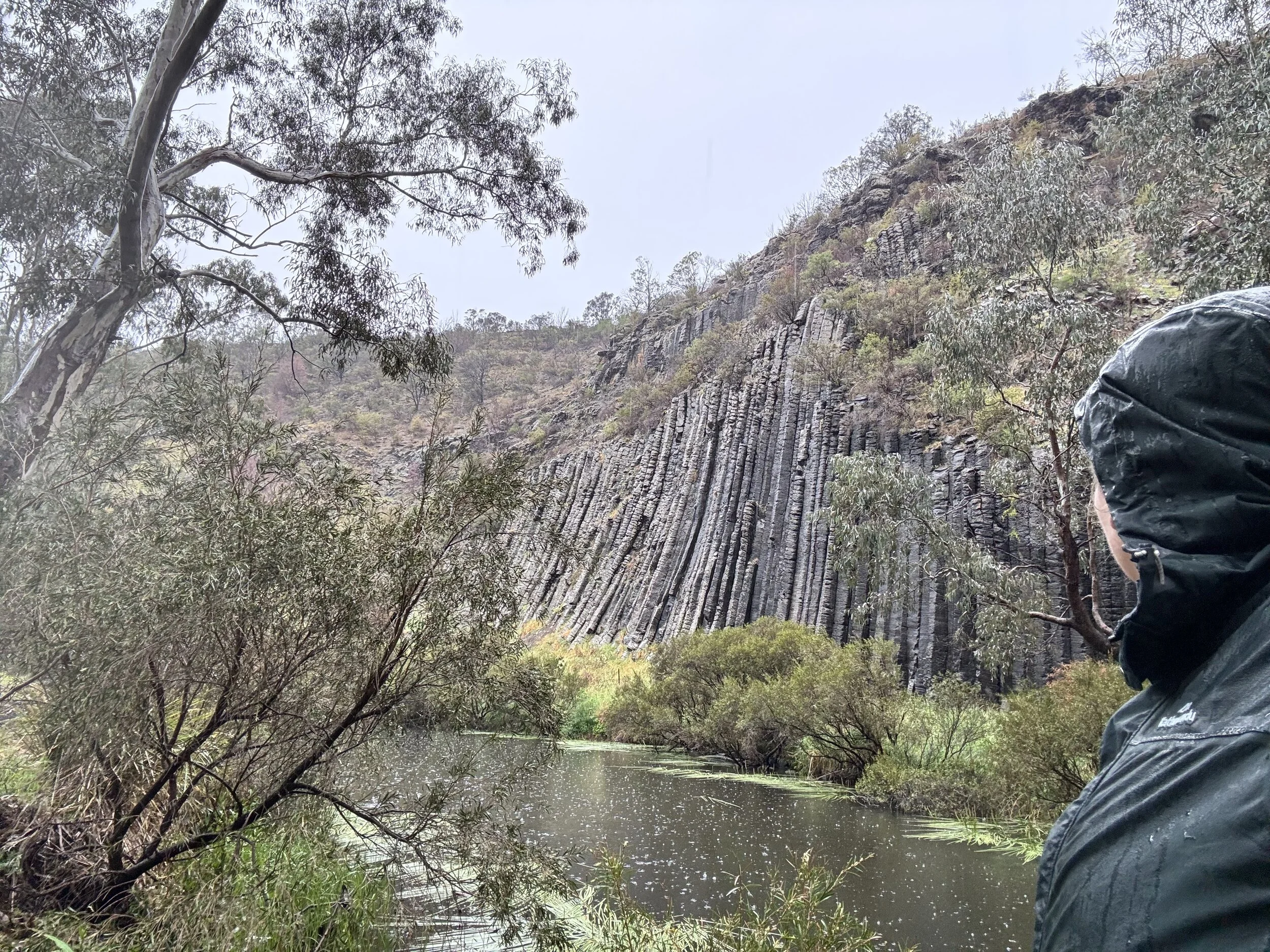 A Rainy-Day Detour: Discovering the Magic of Organ Pipes National Park