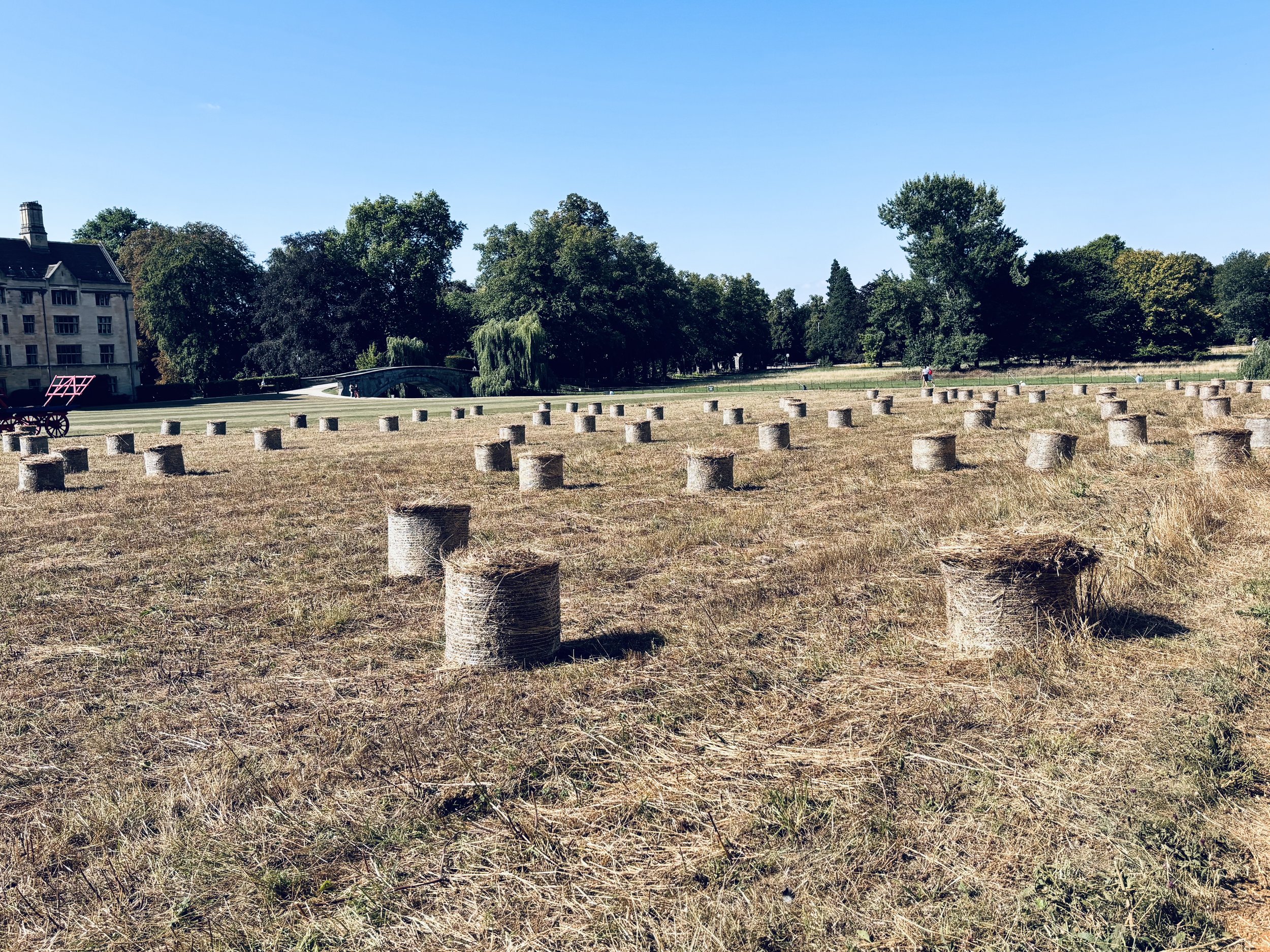 Kings College Back Lawn Hay Bales