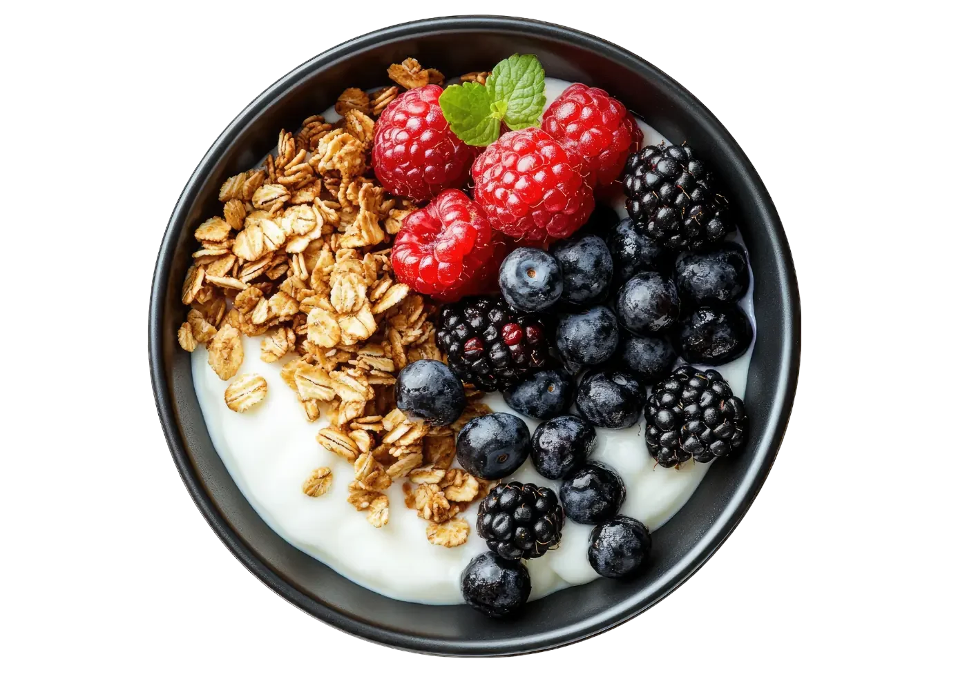 Bowl with l-reuteri yogurt, oats, and berries