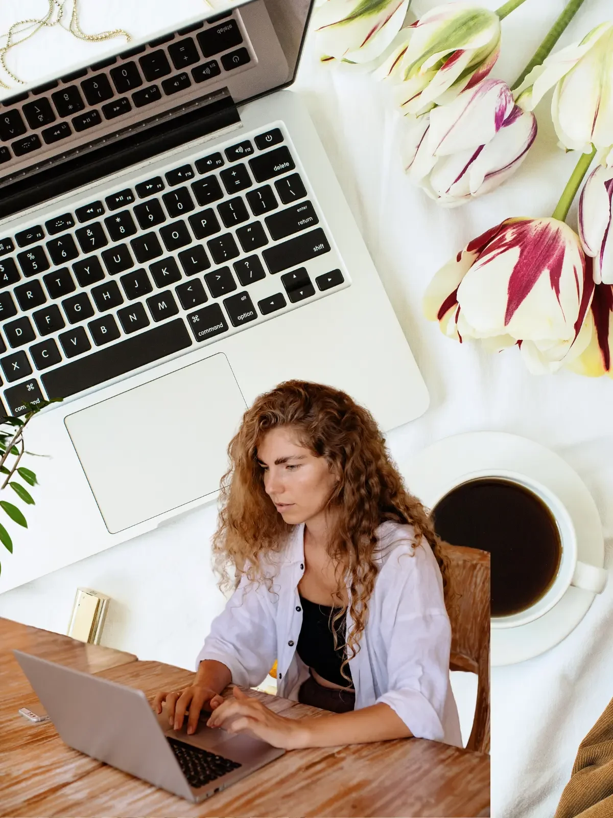 AI Is Taking Website Traffic | Here’s How Small Sites Still Win in 2026