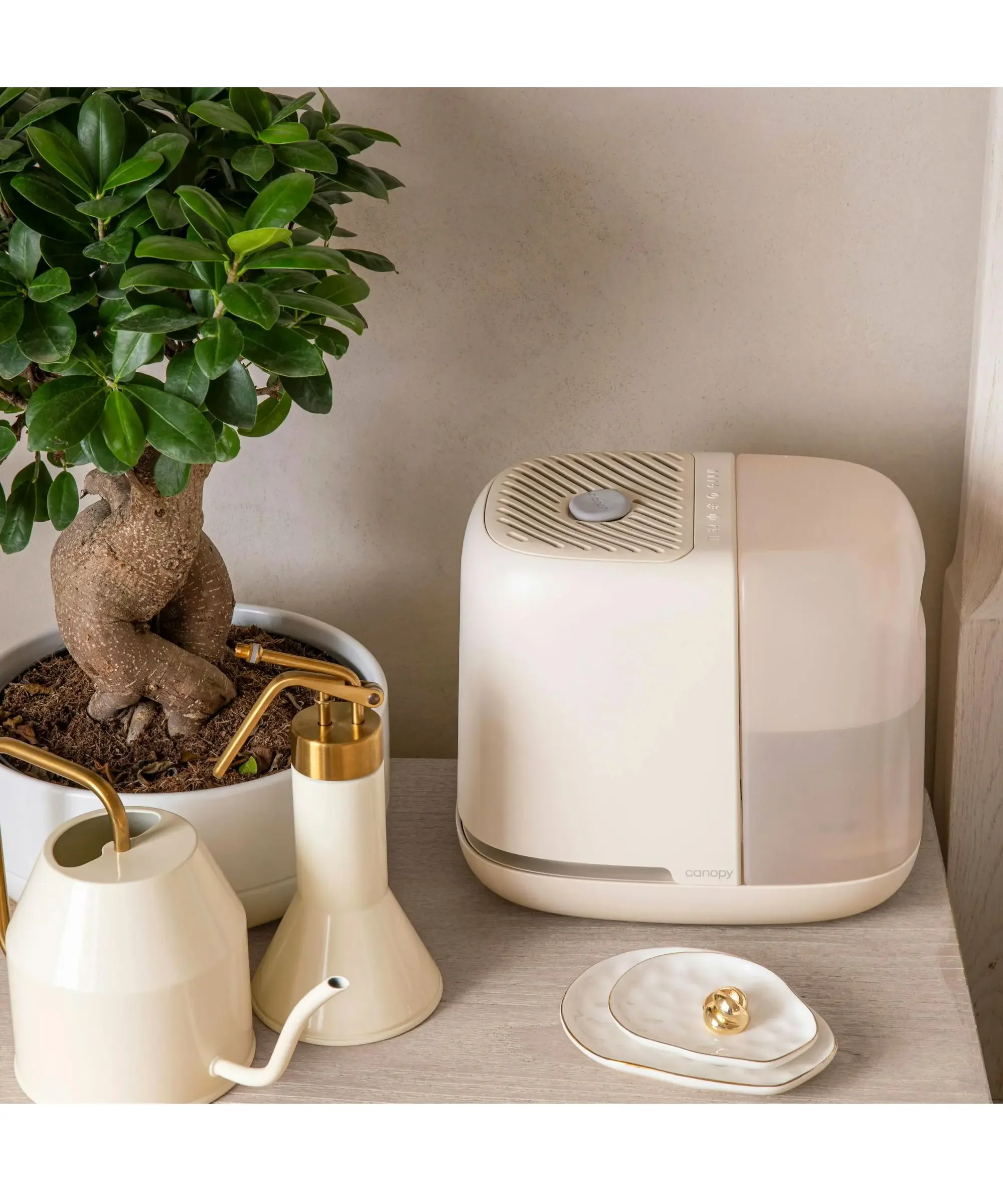 Canopy bedside humidifier on a modern nightstand beside a small potted plant and minimalist white watering can, shown in a calm, neutral bedroom setting.