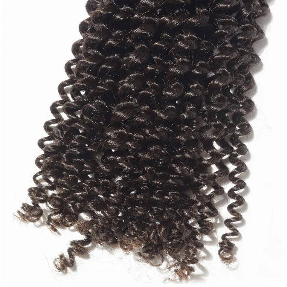 kinky curly.webp