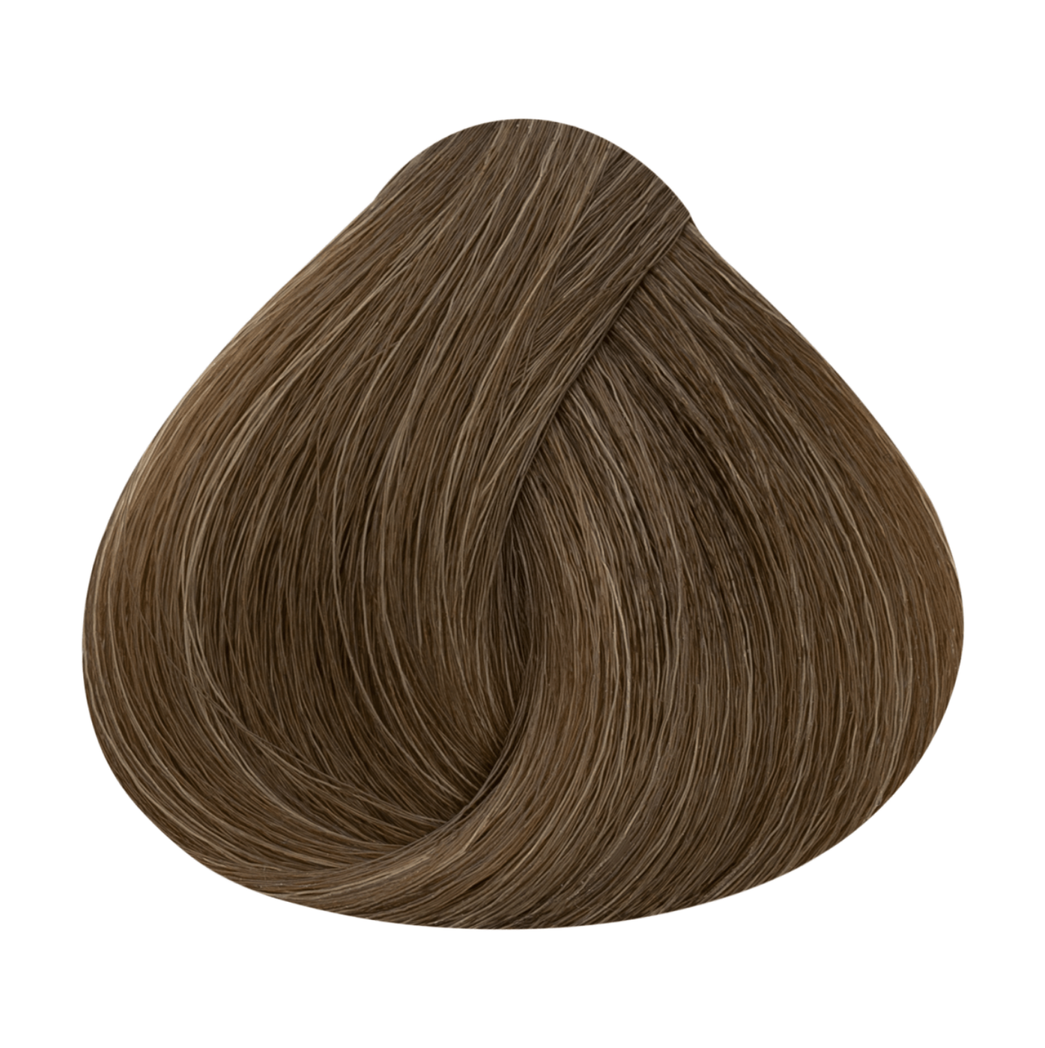 Screenshot 2026-03-11 132046.png