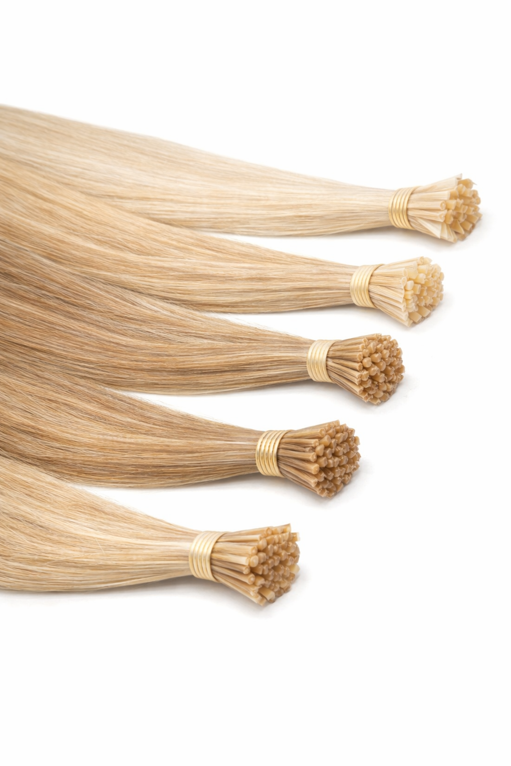 ChatGPT Image Dec 27, 2025, 02_31_44 PM.png