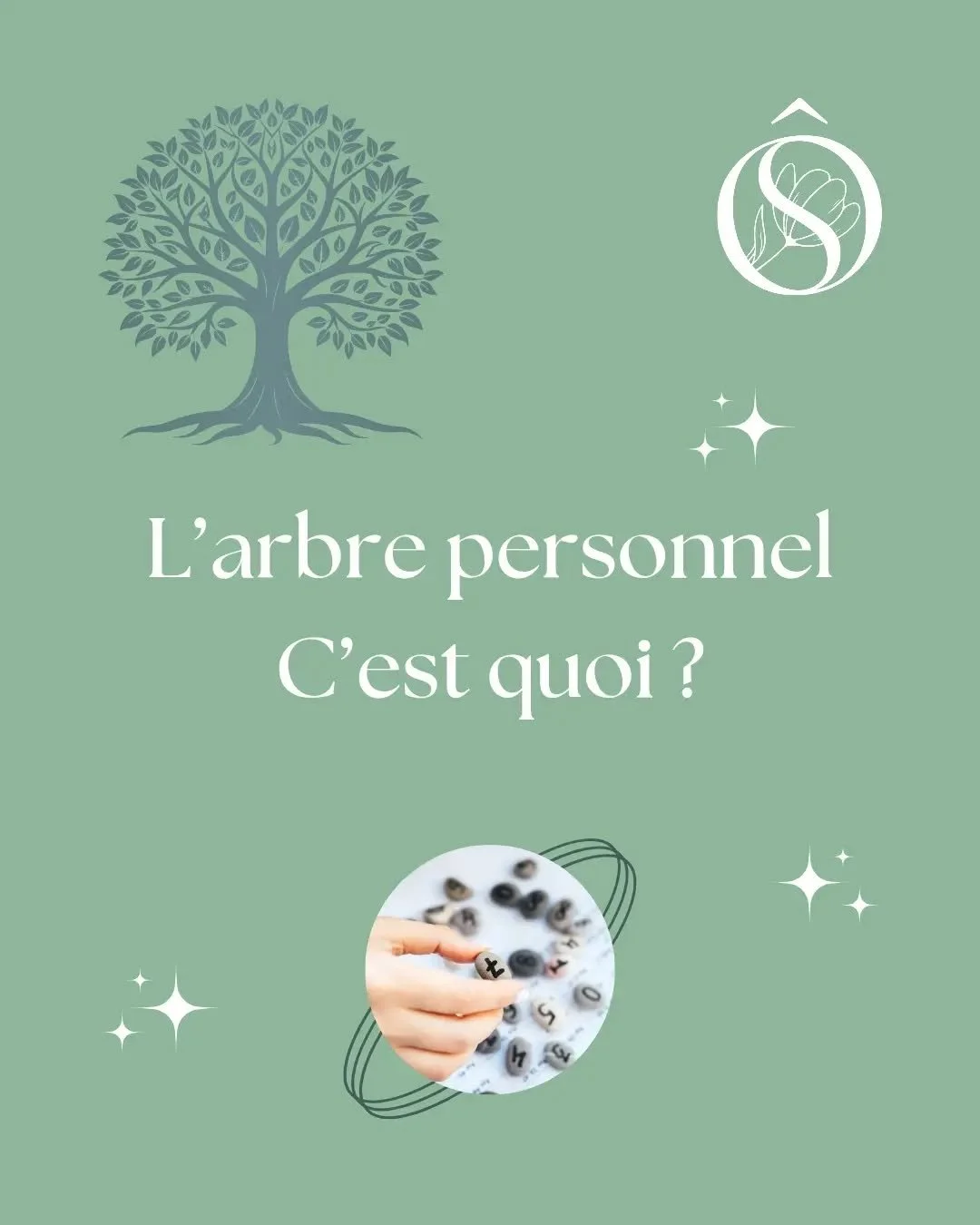 🌳 Partez &agrave; la d&eacute;couverte du symbolisme et de la m&eacute;taphore de l'Arbre Personnel en Num&eacute;rologie Strat&eacute;gique&reg;️ !

🥰 Comme chaque mercredi, je continue ma s&eacute;rie de publications en lien avec cet outil de con