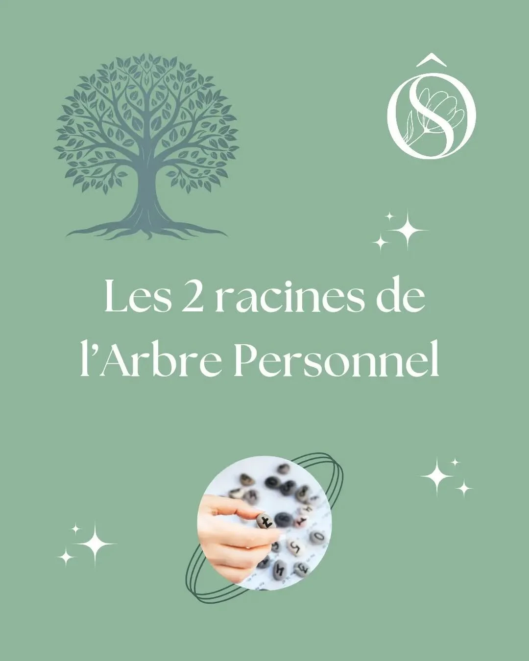 🌳 &Agrave; quoi correspondent ces 2 racines de l'Arbre Personnel en Num&eacute;rologie Strat&eacute;gique&reg;️ !

🥰 Comme chaque mercredi, je continue ma s&eacute;rie de publications en lien avec cet outil de connaissance de soi et d'aide &agrave;