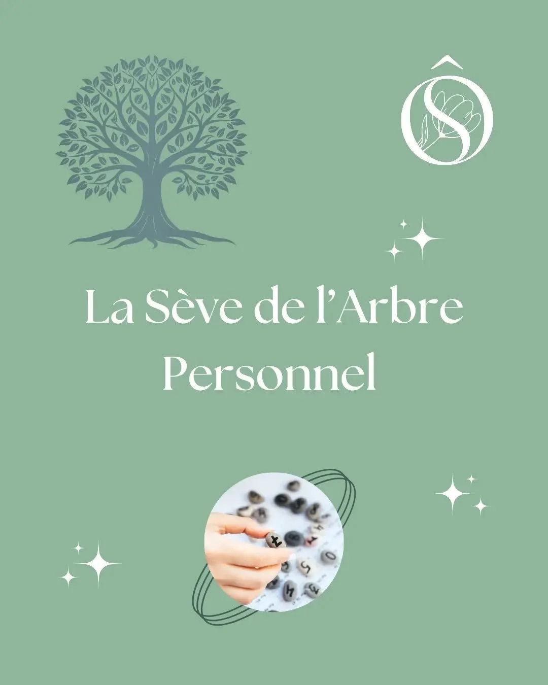 🌳 &Agrave; quoi correspond la S&egrave;ve de l'Arbre Personnel en Num&eacute;rologie Strat&eacute;gique&reg;️ !

🥰 Comme chaque mercredi, je continue ma s&eacute;rie de publications en lien avec cet outil de connaissance de soi et d'aide &agrave; l