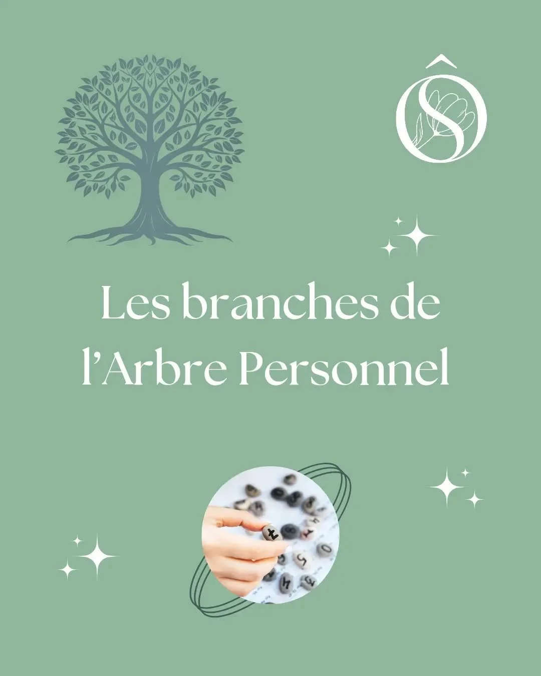 🌳 &Agrave; quoi correspondent les branches de l'Arbre Personnel en Num&eacute;rologie Strat&eacute;gique&reg;️ !

🥰 Comme chaque mercredi, je continue ma s&eacute;rie de publications en lien avec cet outil de connaissance de soi et d'aide &agrave; 
