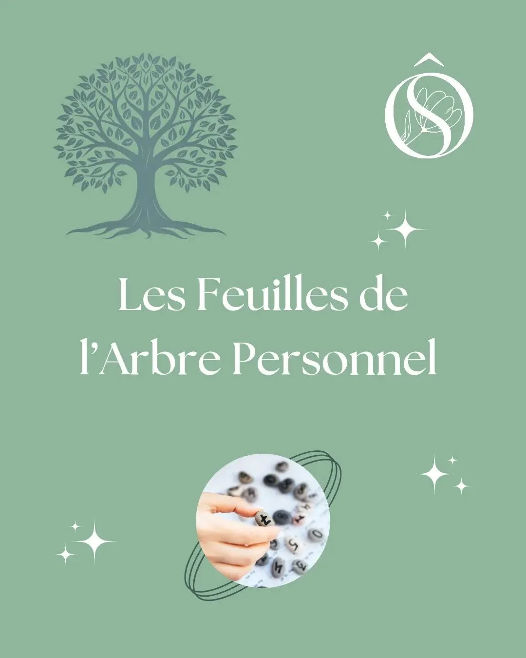 🌳 &Agrave; quoi correspondent les Feuilles de l'Arbre Personnel en Num&eacute;rologie Strat&eacute;gique&reg;️ !

🥰 Comme chaque semaine, je continue ma s&eacute;rie de publications en lien avec cet outil de connaissance de soi et d'aide &agrave; l