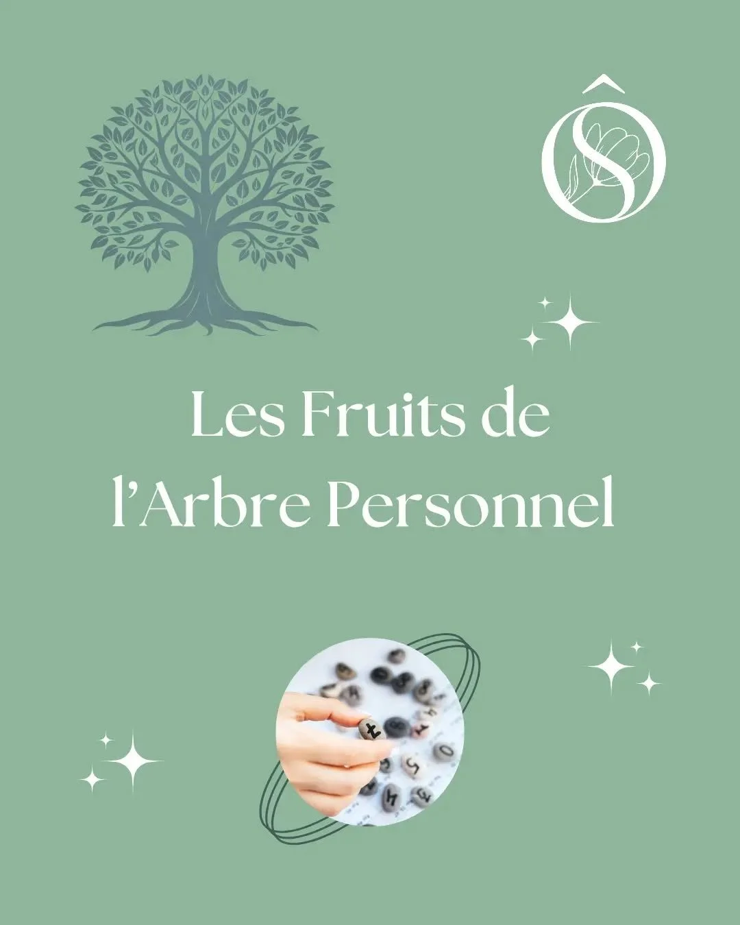 🌳 &Agrave; quoi correspondent les Fruits de l'Arbre Personnel en Num&eacute;rologie Strat&eacute;gique&reg;️ !

🥰 Comme chaque mercredi, je continue ma s&eacute;rie de publications en lien avec cet outil de connaissance de soi et d'aide &agrave; la