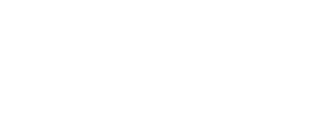 Tulipe blanche à 4 pétales avec une tige fine courbée en forme de demi-lune et une feuille