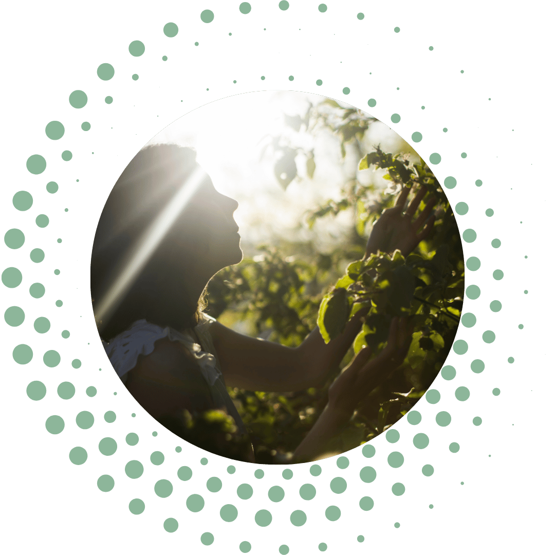 Diplômes et formations Stéphanie Ricard coaching numérologie à Rodez en Aveyron