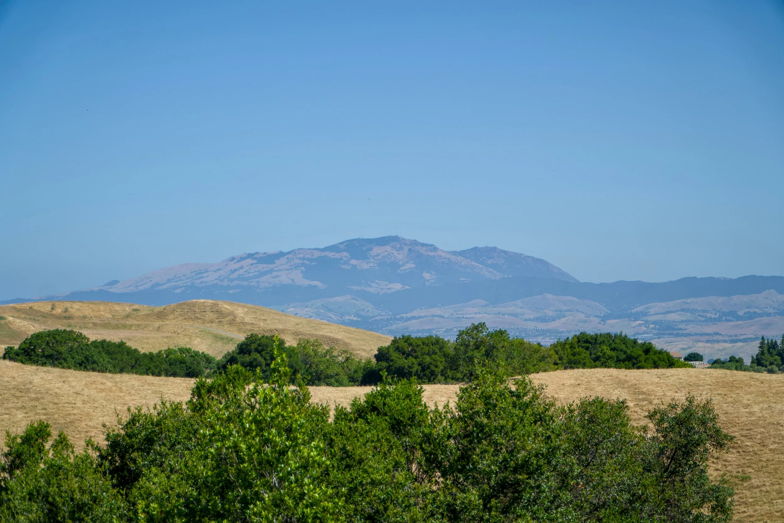 Concord, CA • May 15, 2026 • Skill Levels 3.0-4.0