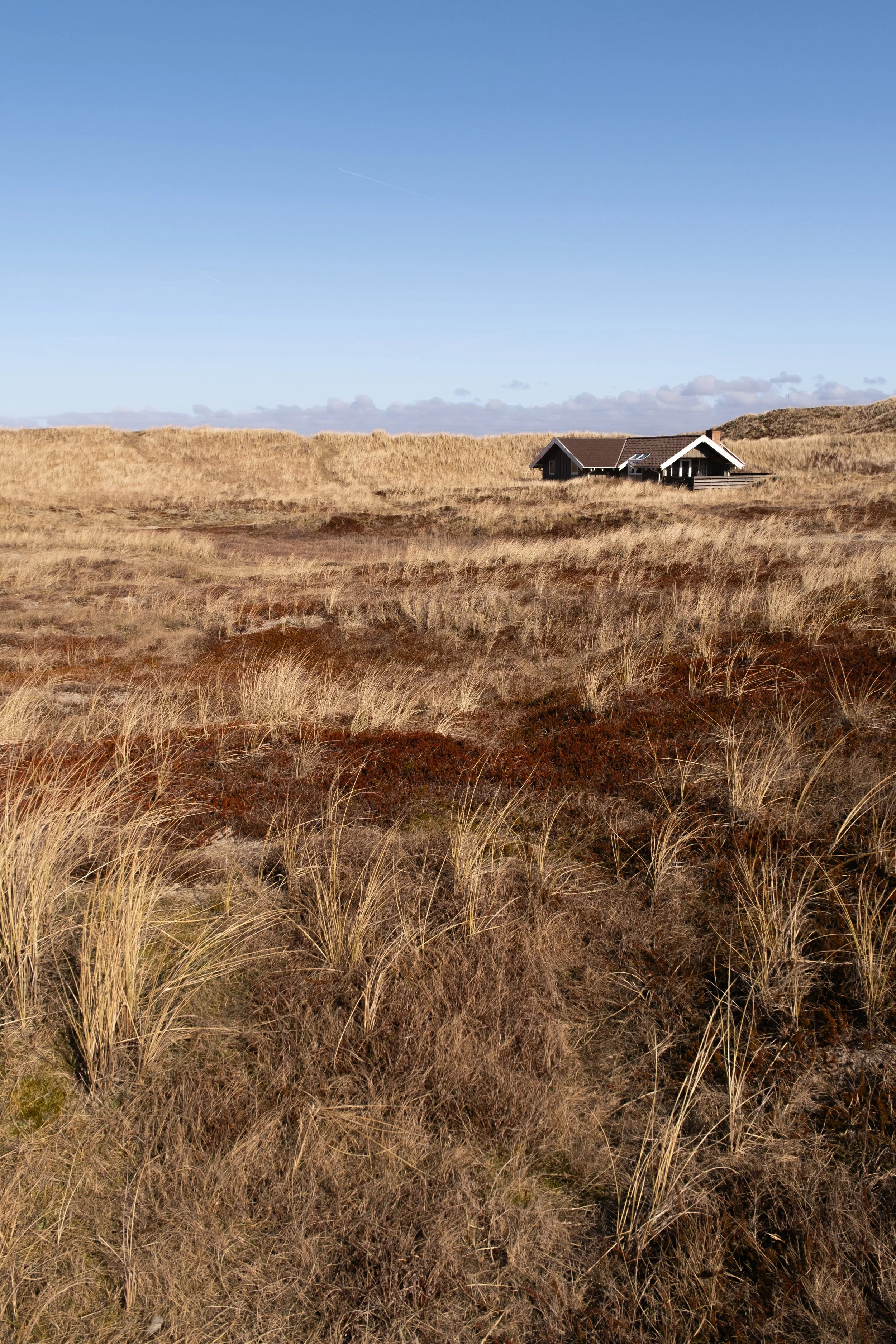 Zu sehen ist ein riesiges Dünen Tal in dessen Gestrüpp ein flaches Haus versteckt liegt.
Das Bild wurde in Søndervig, Dänemark aufgenommen.