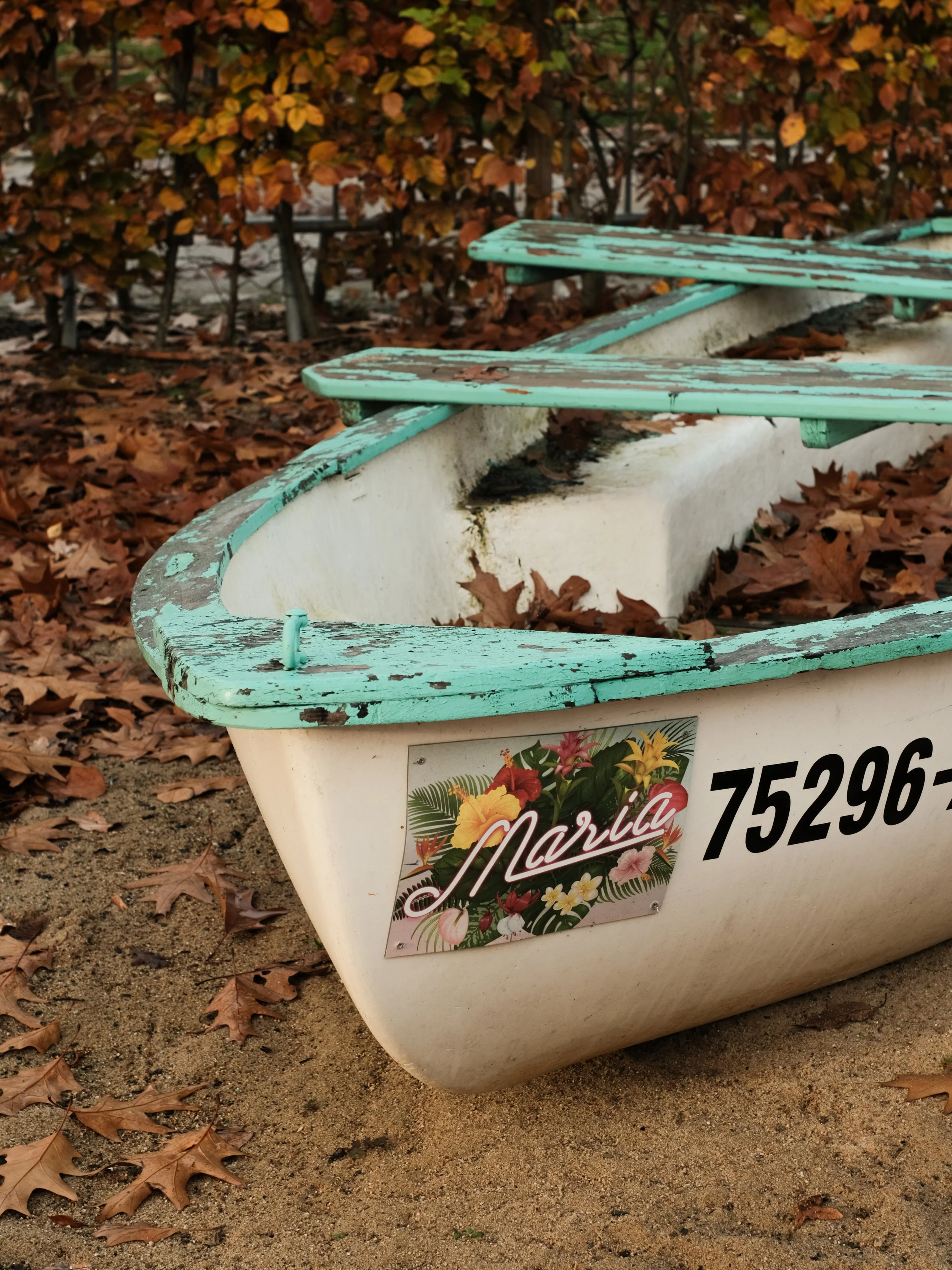 Bild von altem Ruderboot bei der Strandbar in Vechta, vorderer Teil