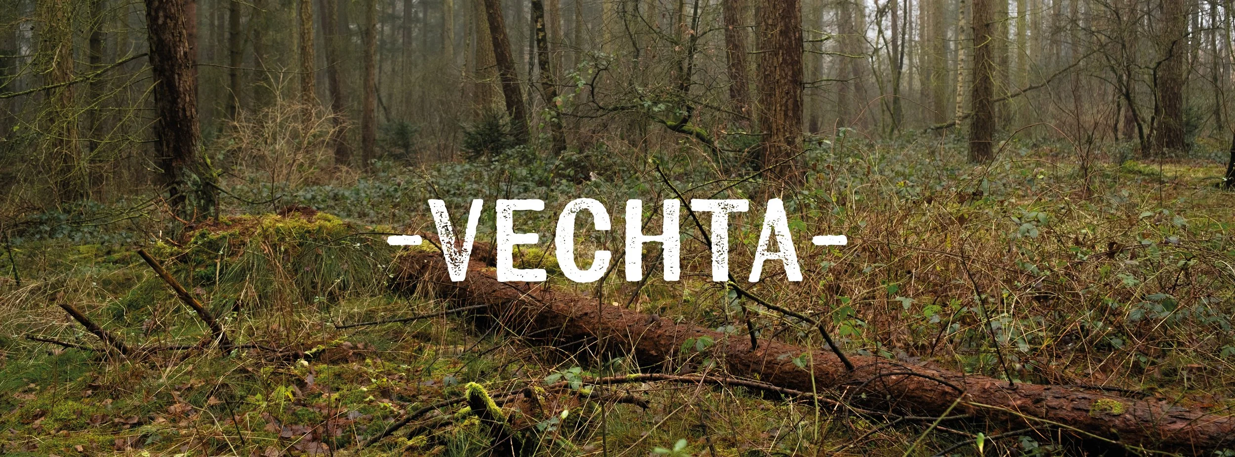 Waldlandschaft mit umgestürztem Baumstamm und dem Wort "Vechta" in der Mitte.