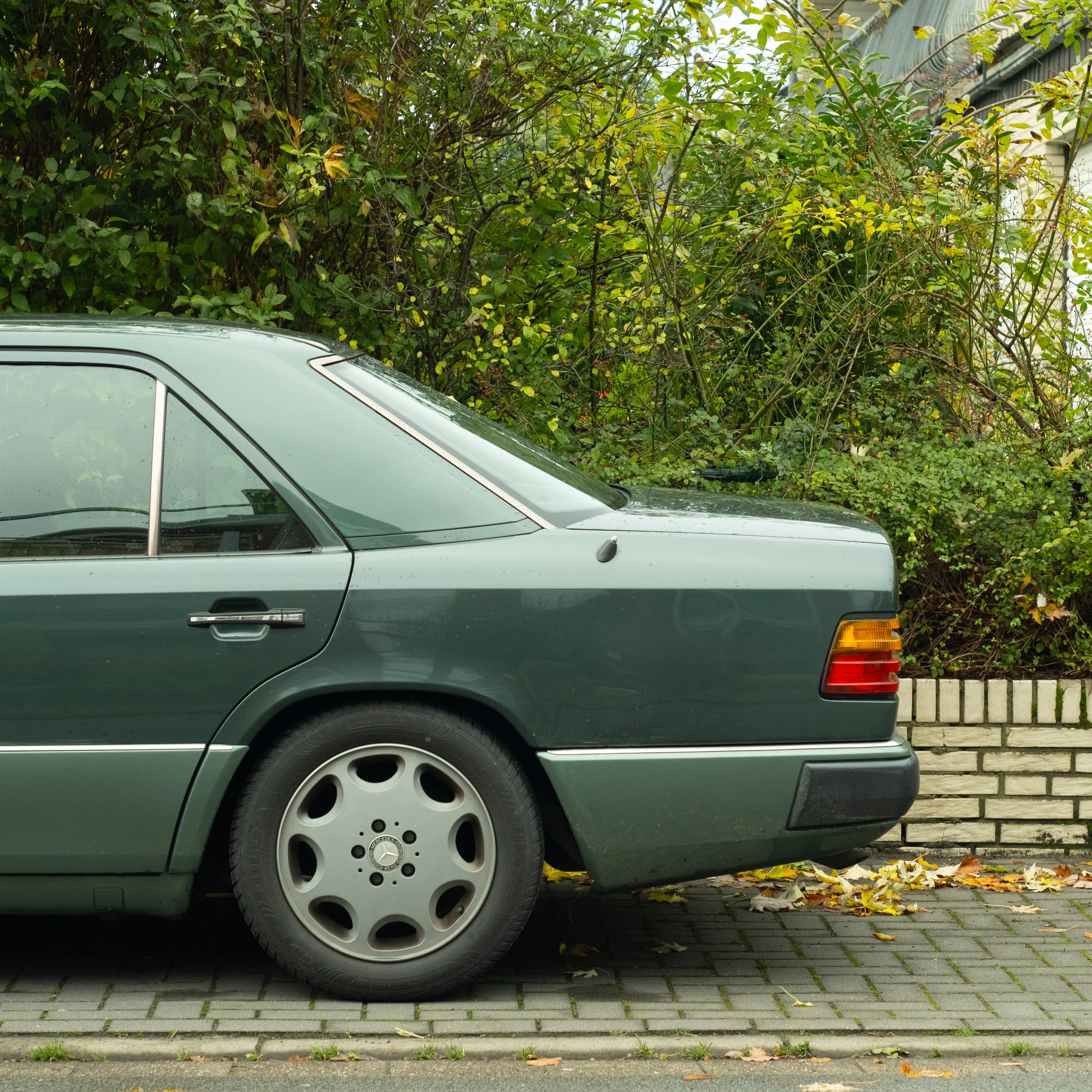 Bild aus Vechta, das die hintere Hälfte eines Mercedes vor grünen Blättern zeigt