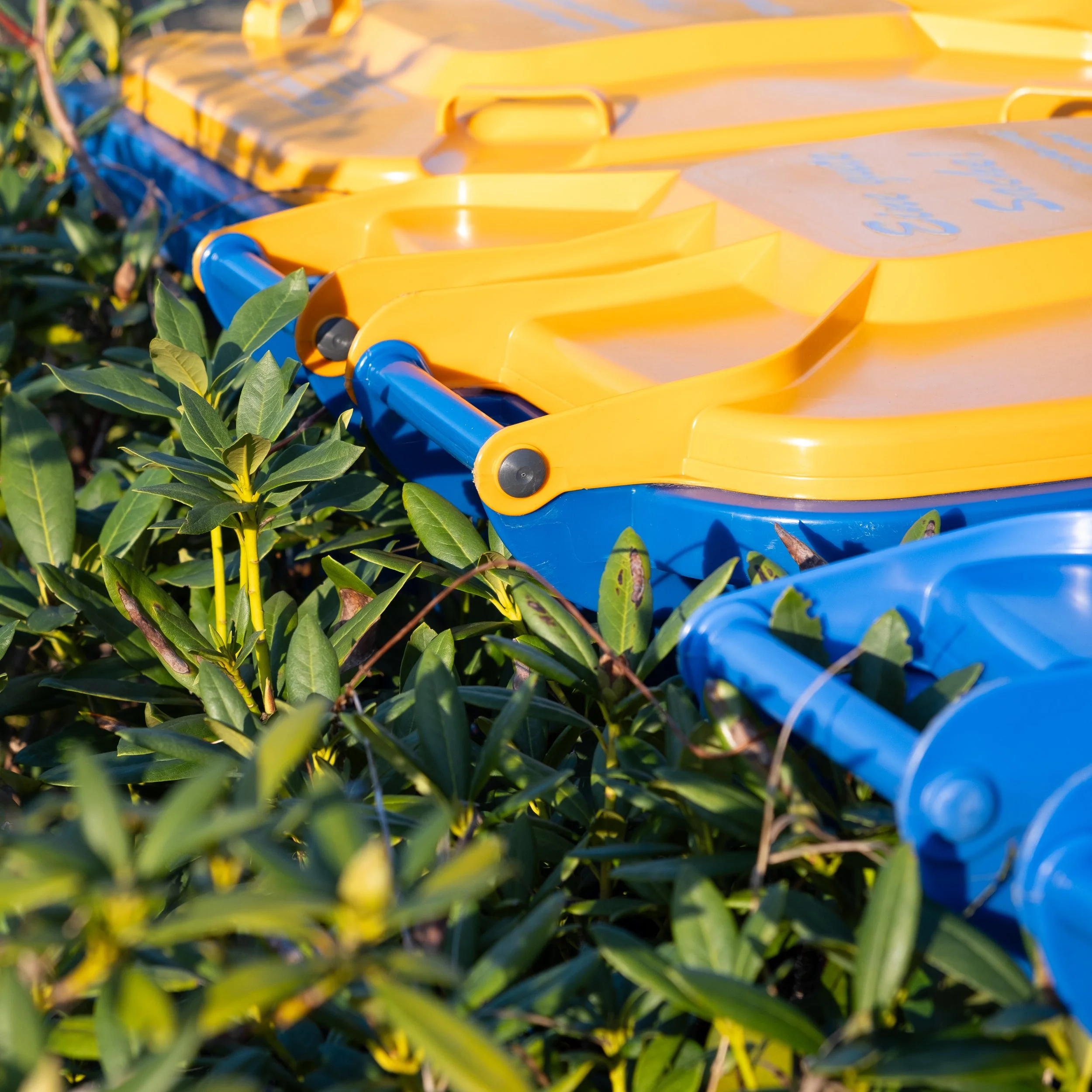 Fotografie aus Vechta zeigt Mülltonnen vor einer grünen Hecke
