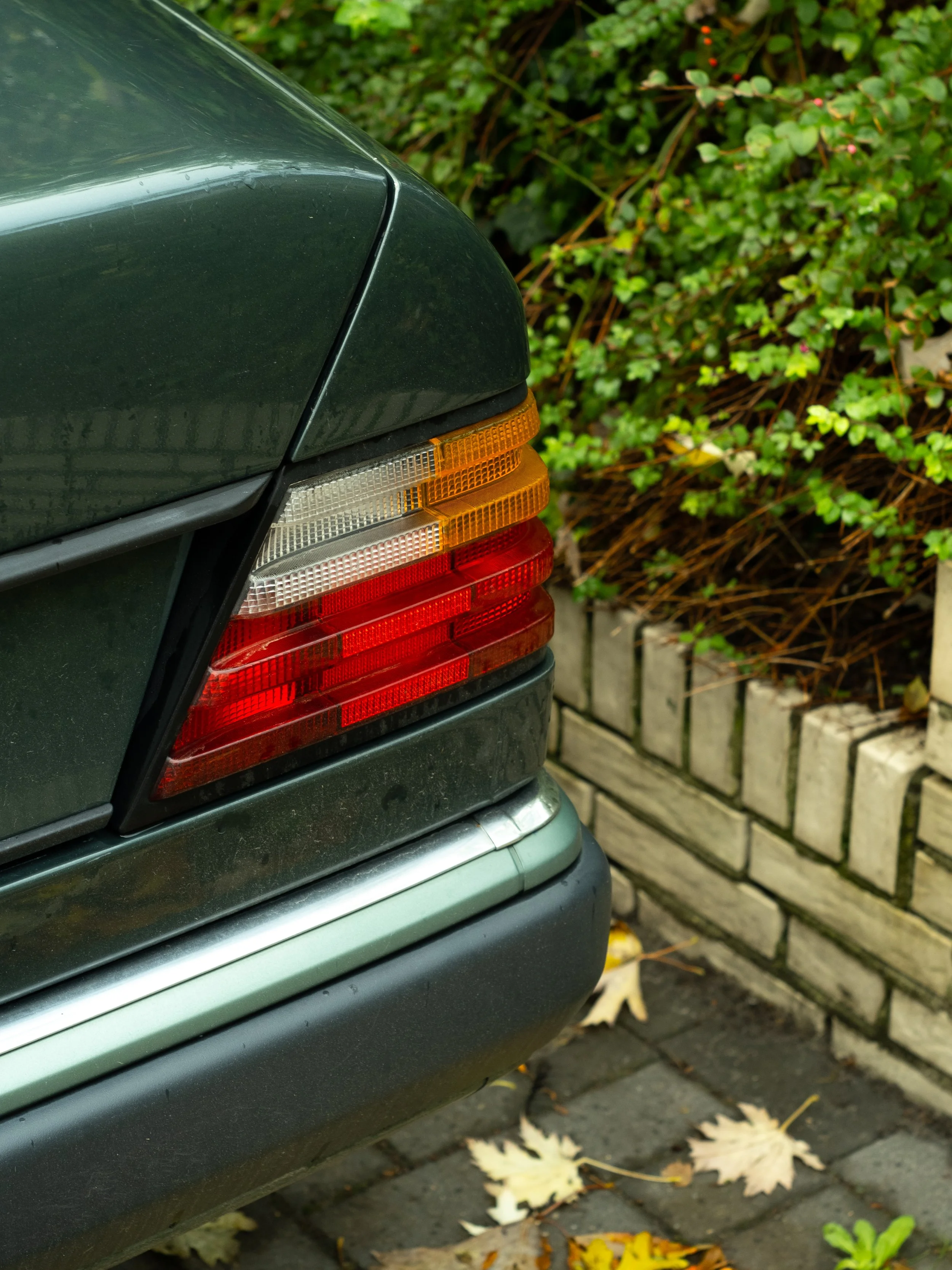 Fotografie von einem Rücklicht eines Mercedes, vor grünen Pflanzen in Vechta