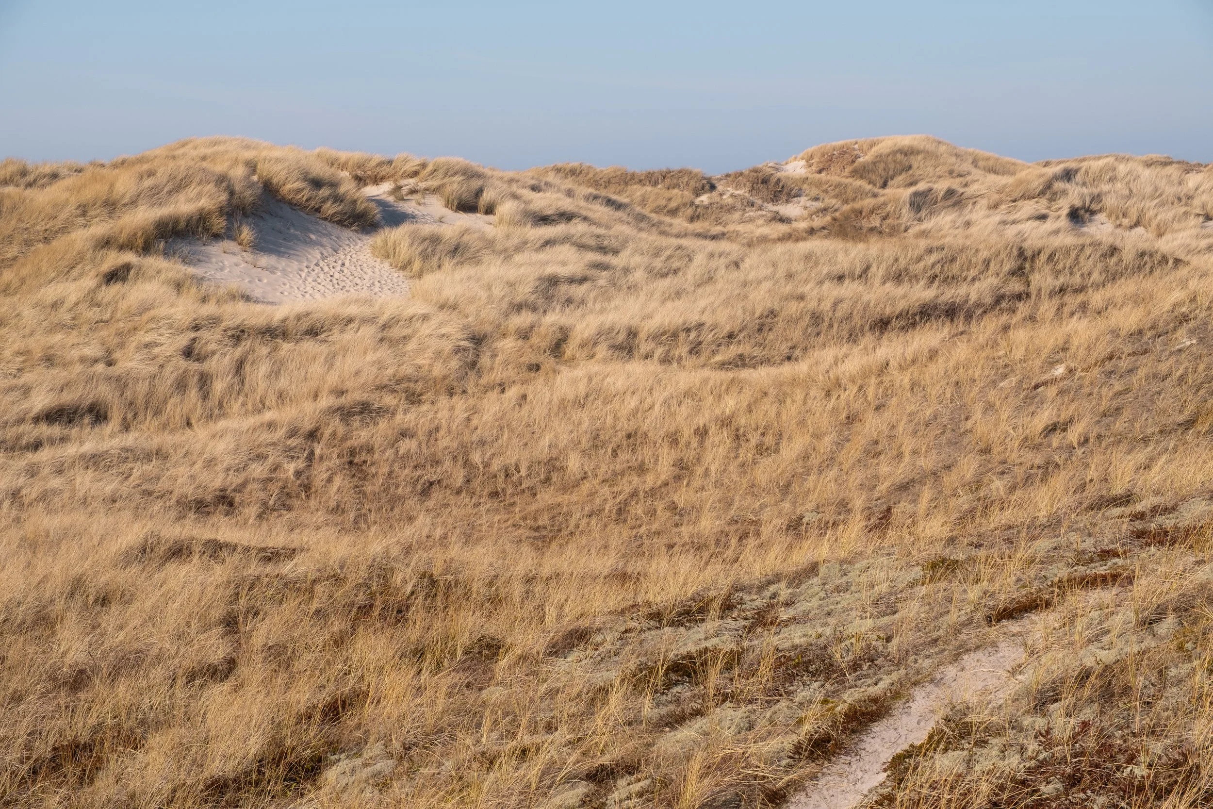 Diese Fotografie zeigt eine Dünen Landschaft in Søndervig, Dänemark, dessen Leere Ruhe ausstrahlt.