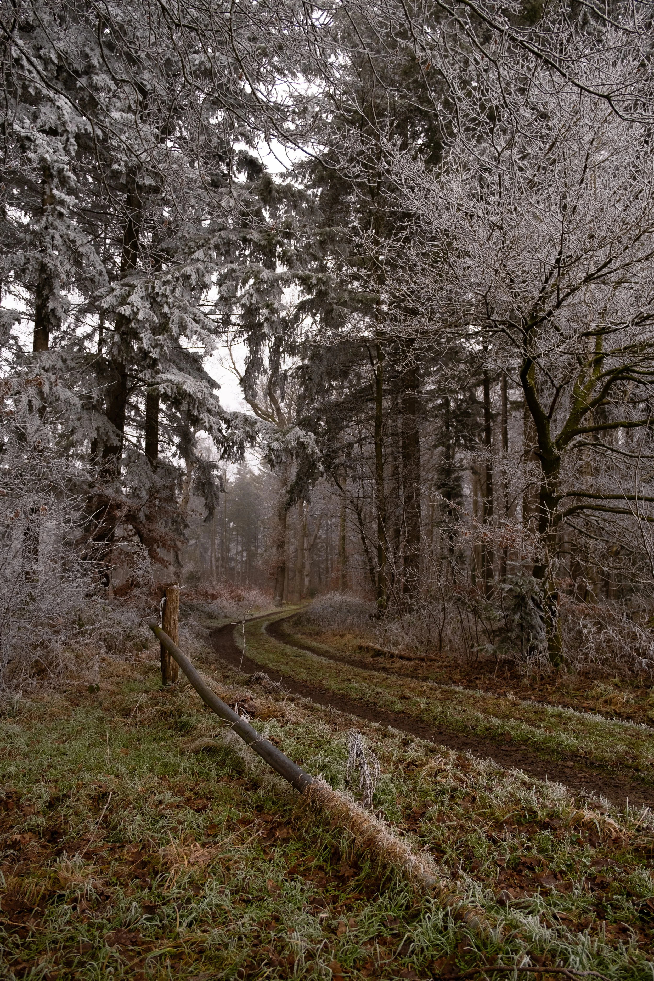 Bild aus Vechta im Winter, das die Einfahrt in einen Waldweg und ein Tor zeigt