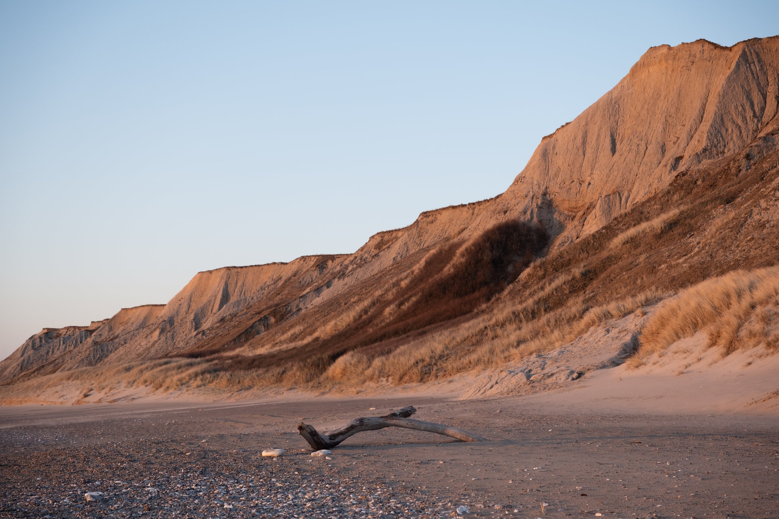 Strand mit Dünen und Klippen bei Sonnenuntergang, trockener Baumstamm im Vordergrund.