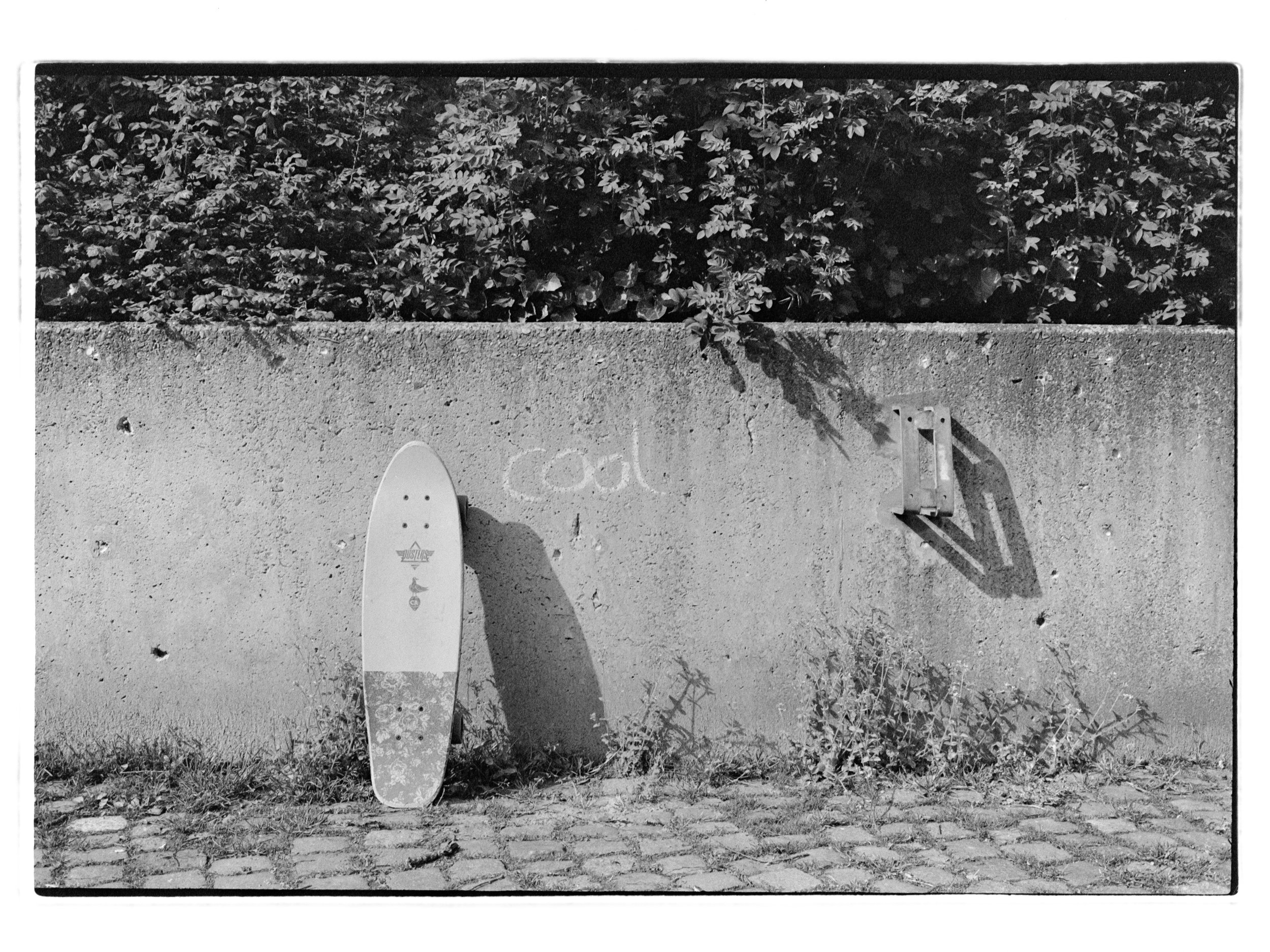 Skateboard lehnt an einer Betonmauer mit Graffiti, daneben ein metallener Schatten, im Hintergrund Büsche und Pflanzen, auf einem gepflasterten Boden.