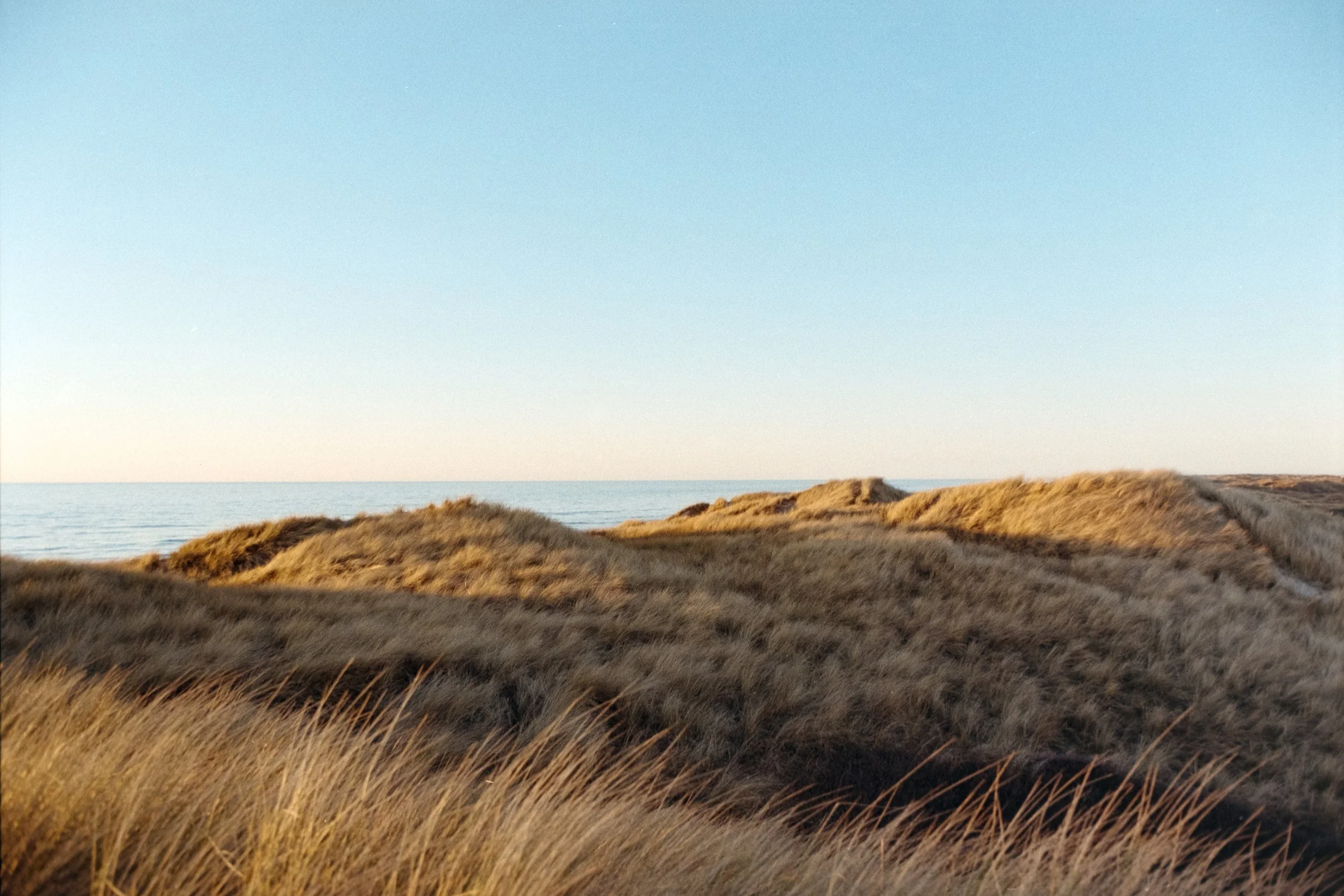 Analoge Landschaftsfotografie von den Dünen Søndervigs, Dänemark. Im Hintergrund ist das Meer zu sehen, welches in den Horizont übergeht.