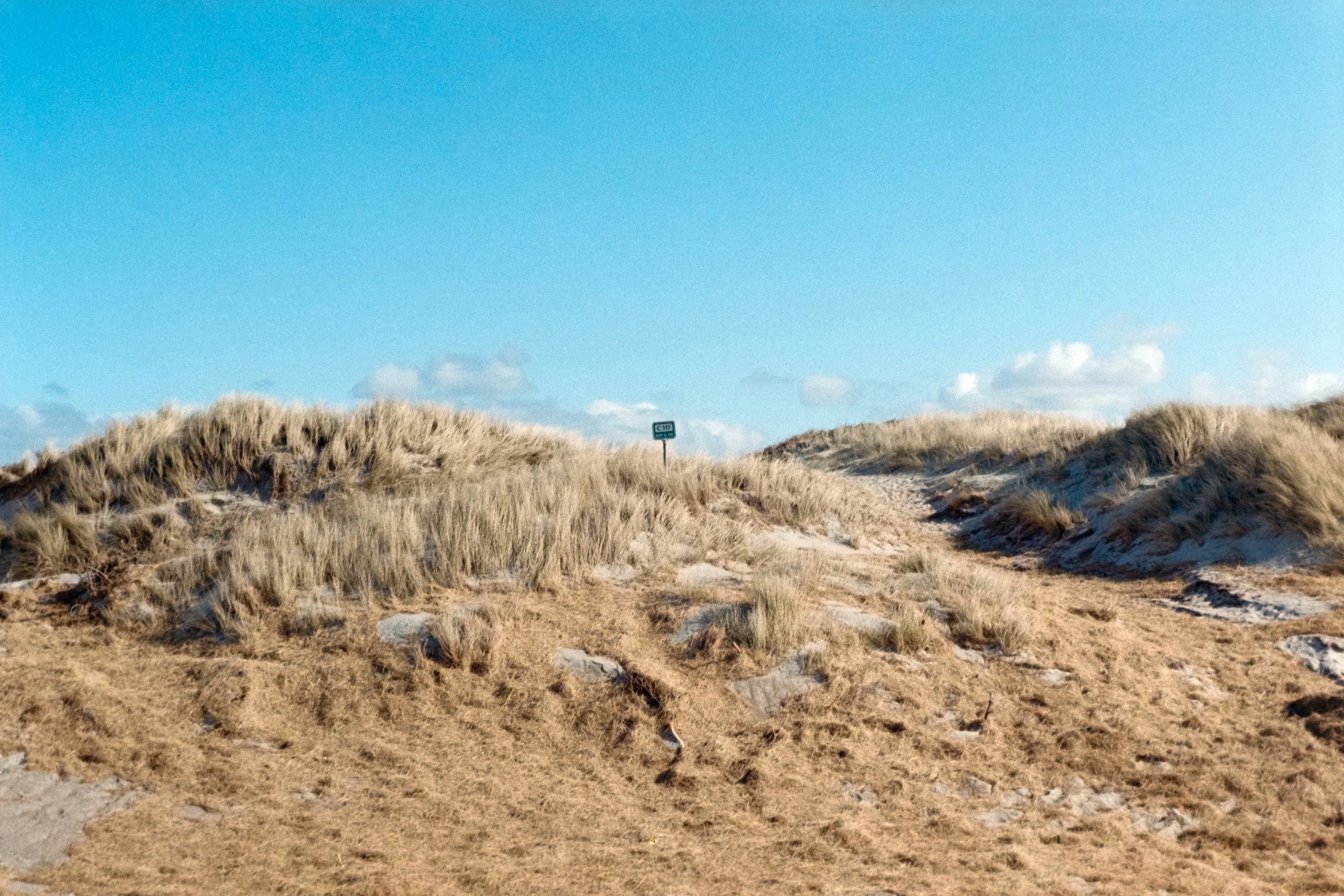 Analoges Foto von einem Schild in den Dünen von Søndervig, Dänemark.