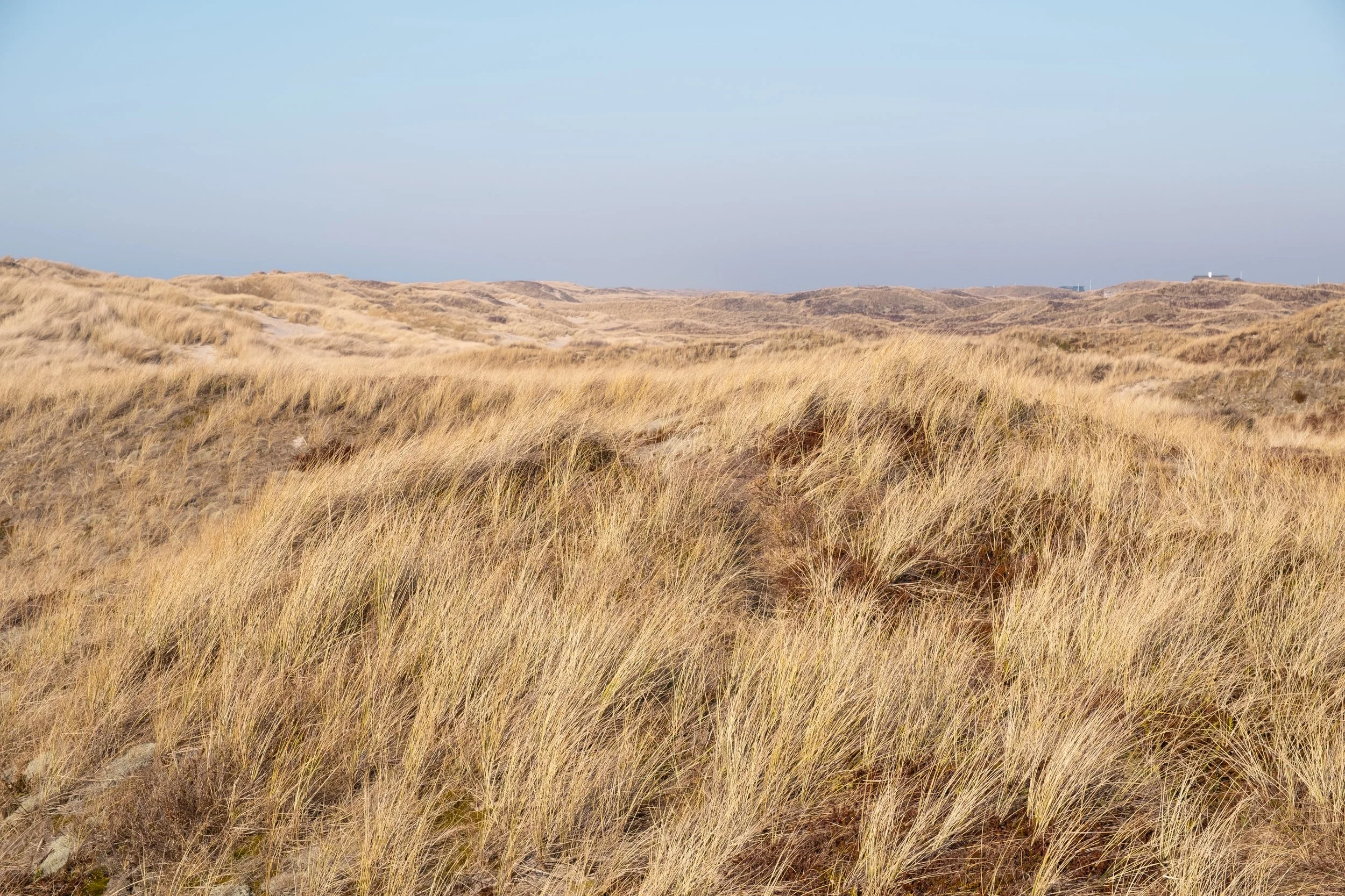 Auf diesem Foto ist eine Landschaft aus Dünen zu erkennen, die sich durch ihre atemberaubende Weite kennzeichnet. Diese Landschaft ist in Søndervig in Dänemark zu finden.