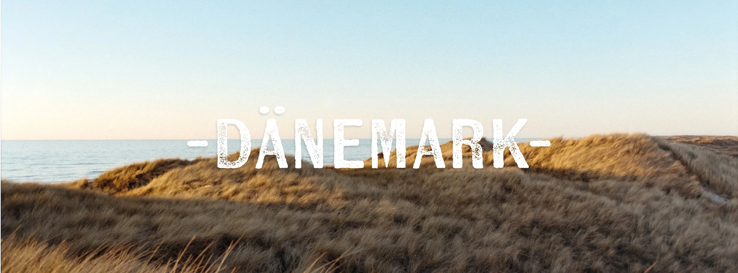 Bild von Dünen und dem Meer am Strand in Søndervig in Dänemark