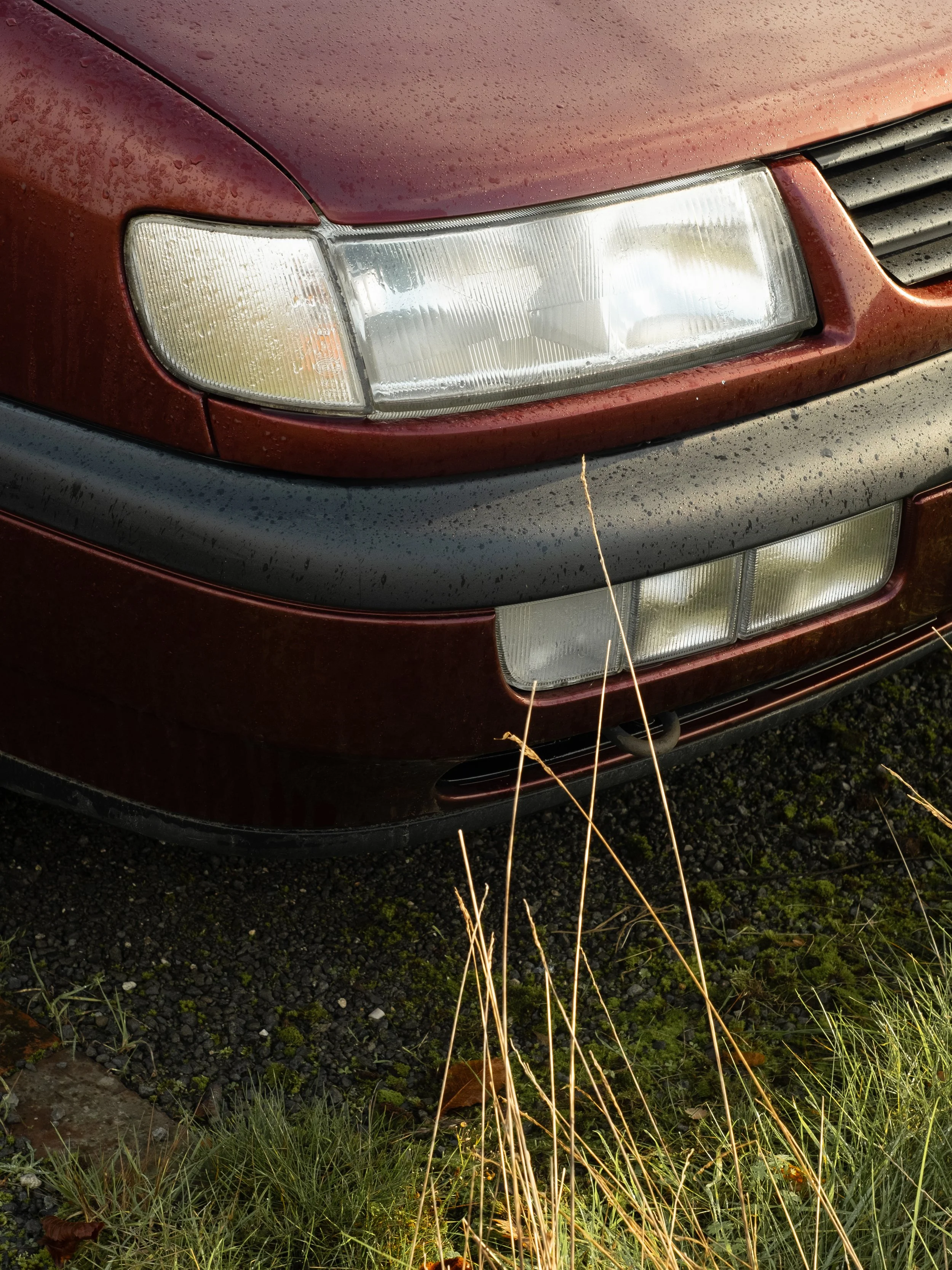 Bild aus Vechta, zeigt den Scheinwerfer eines VW Passats im Morgentau