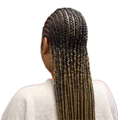 IMG_4146 Background Removed.png