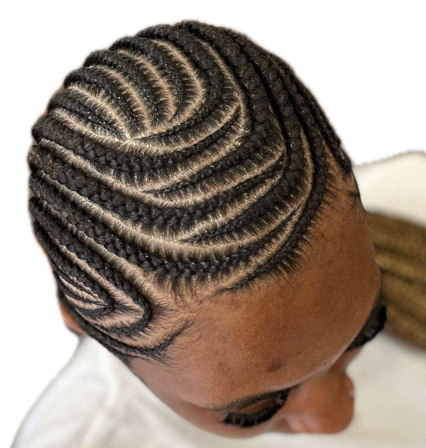 IMG_4856 Background Removed.png