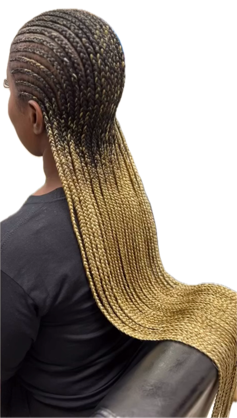 IMG_4140 Background Removed.png