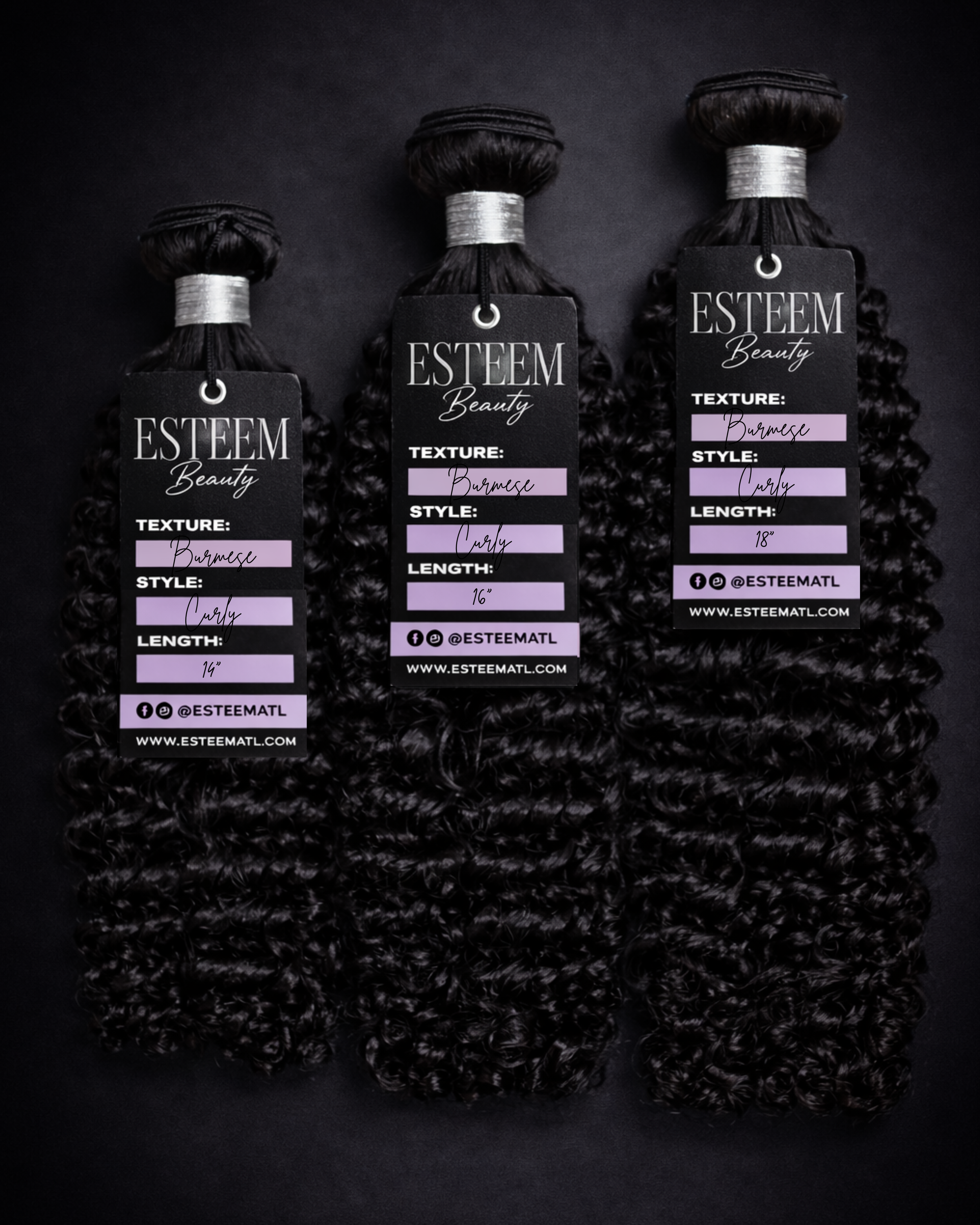 Burmese Curly 3 Bundle Deal