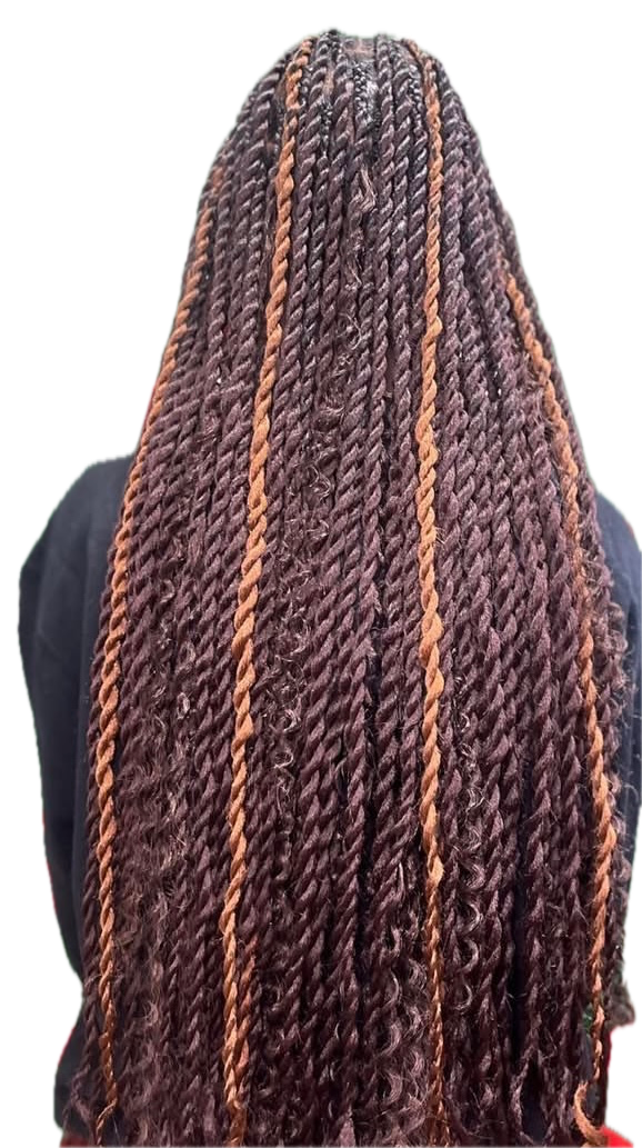 IMG_4148 Background Removed.png