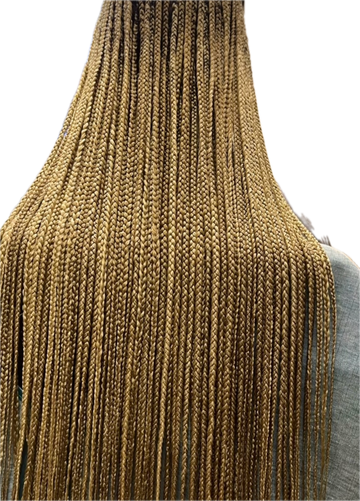 IMG_4136 Background Removed.png