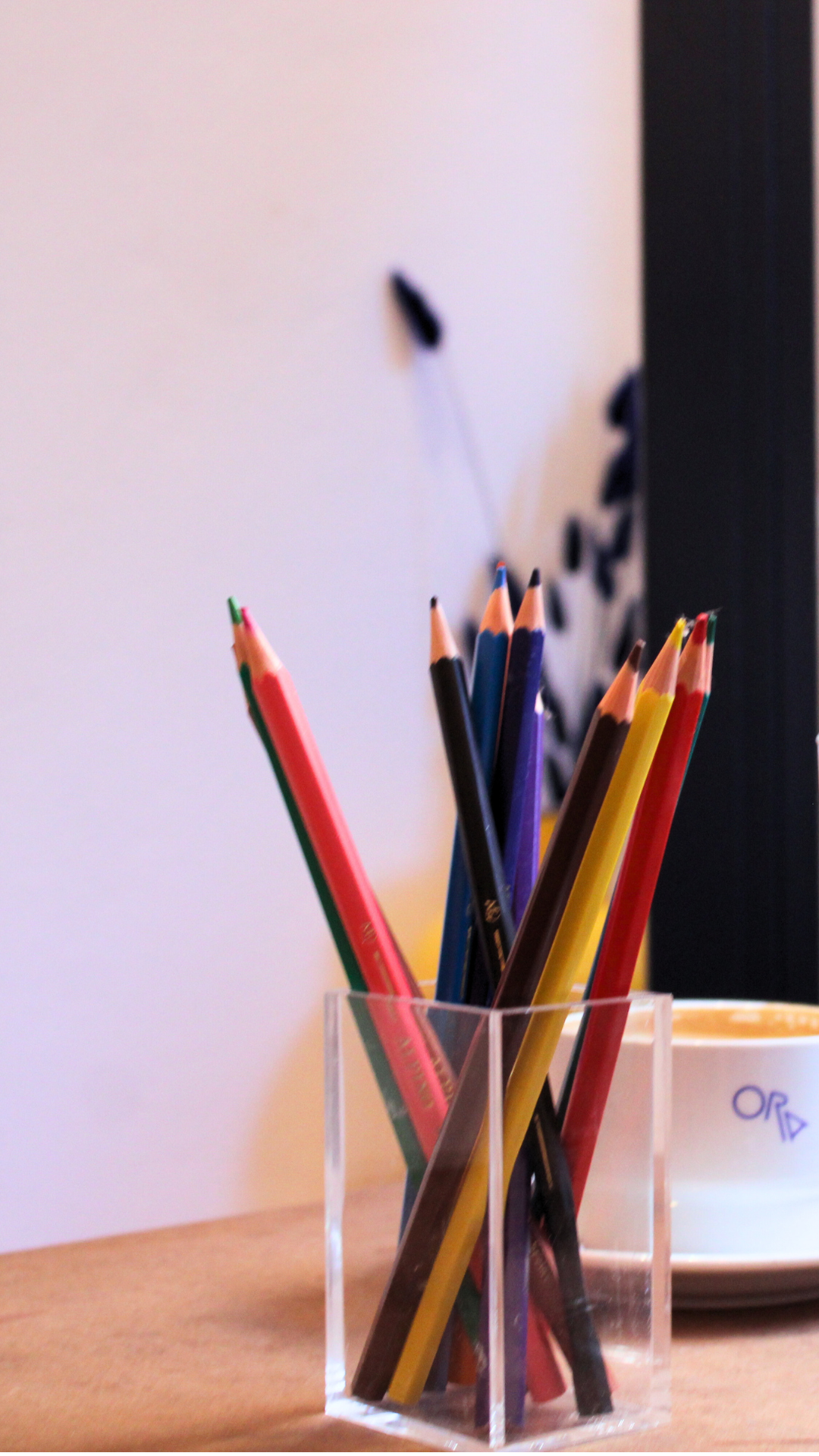 SKETCH + SIP | 14.12.2025