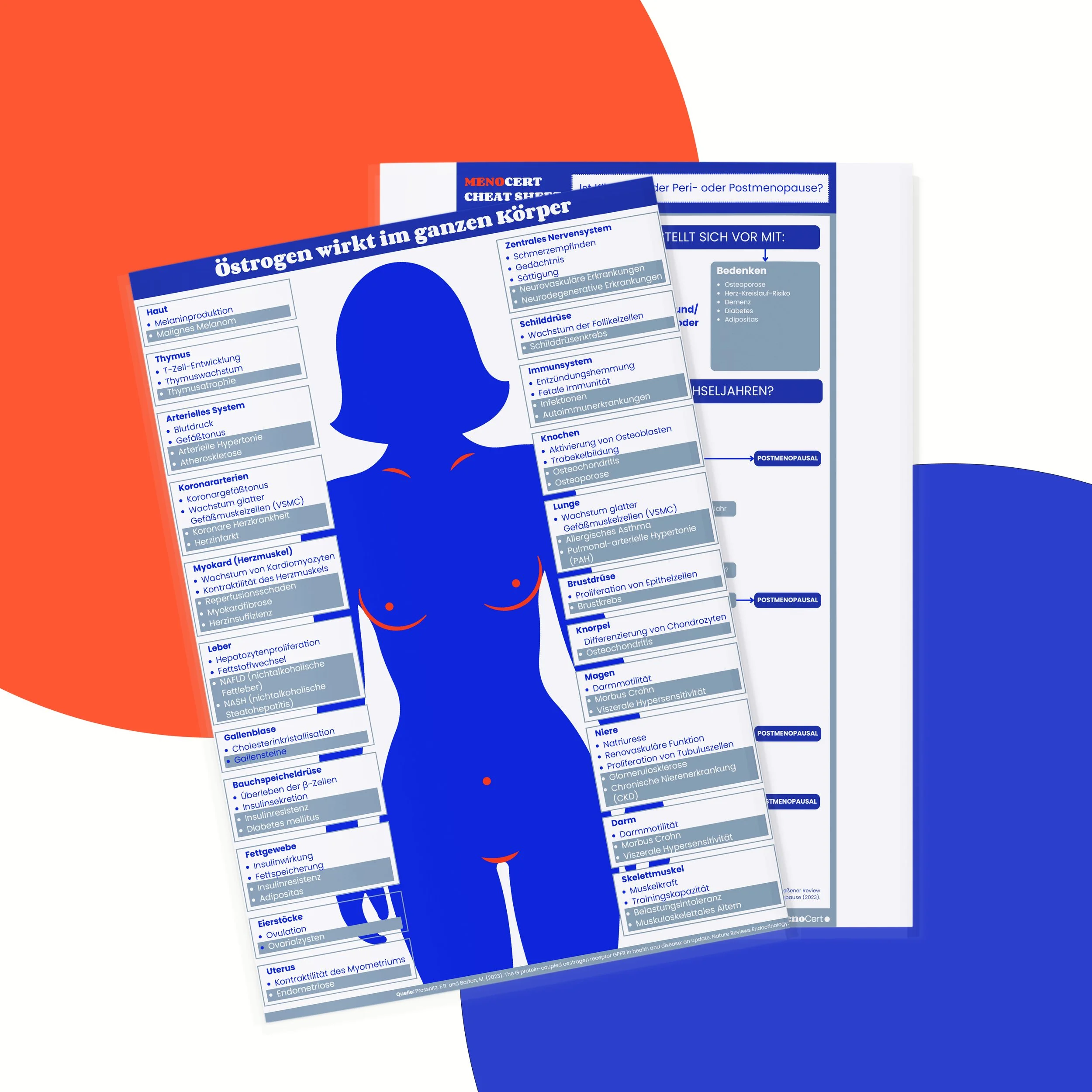 menocert-body-cheatsheet.jpg