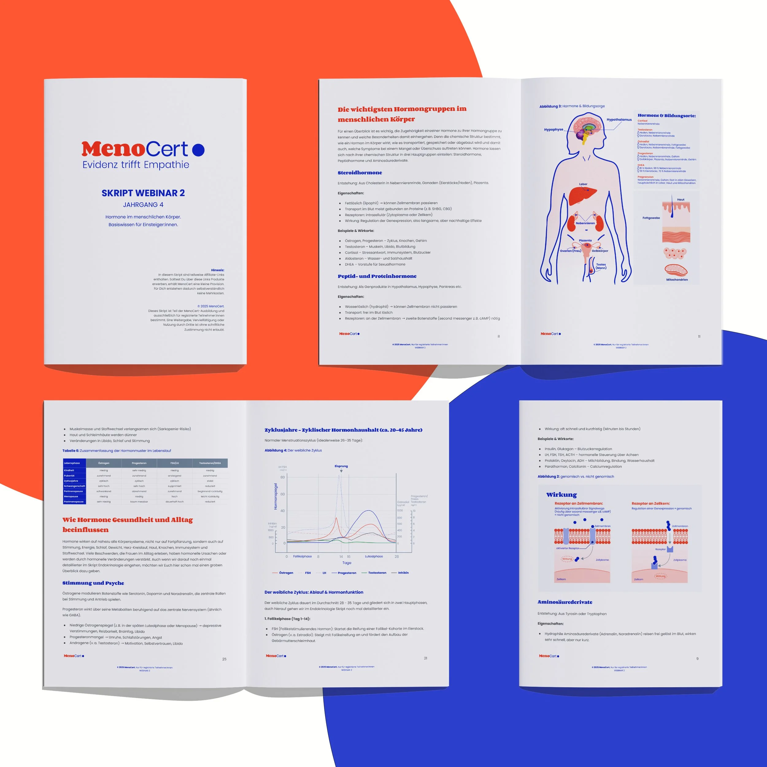 menocert-A4-layouts.jpg