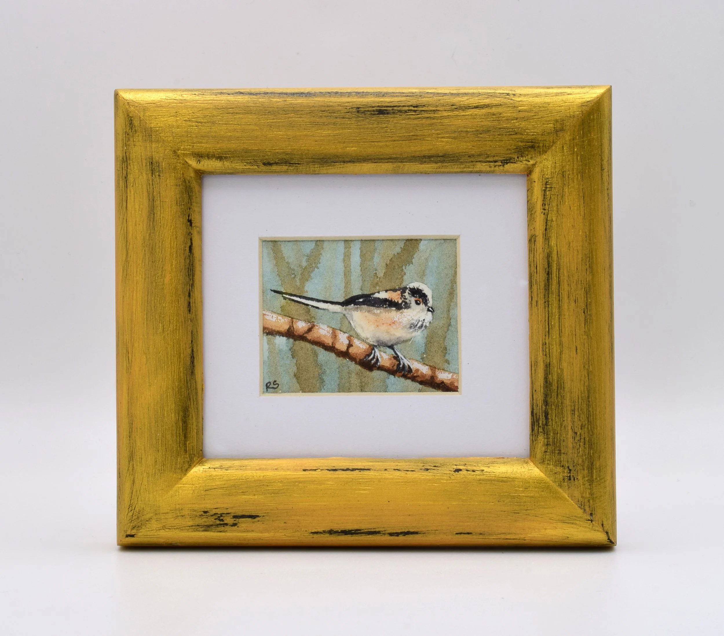 Long Tailed Tit one.jpg