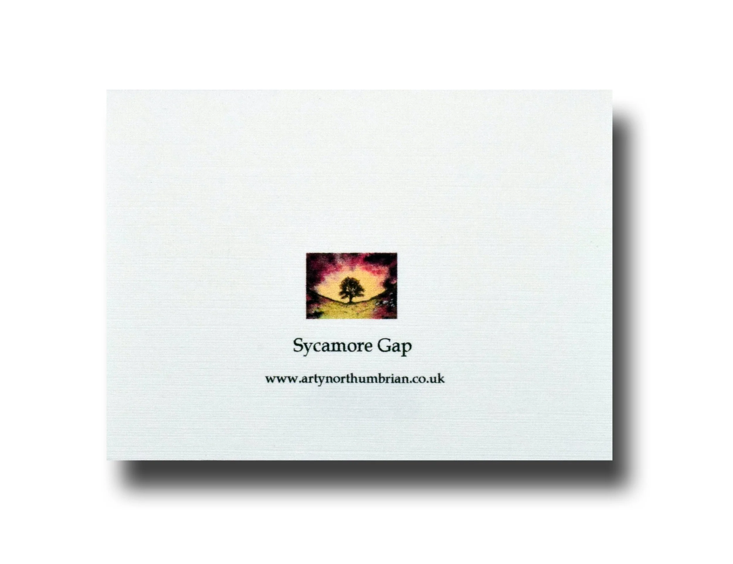 Sycamore Gap one.jpg