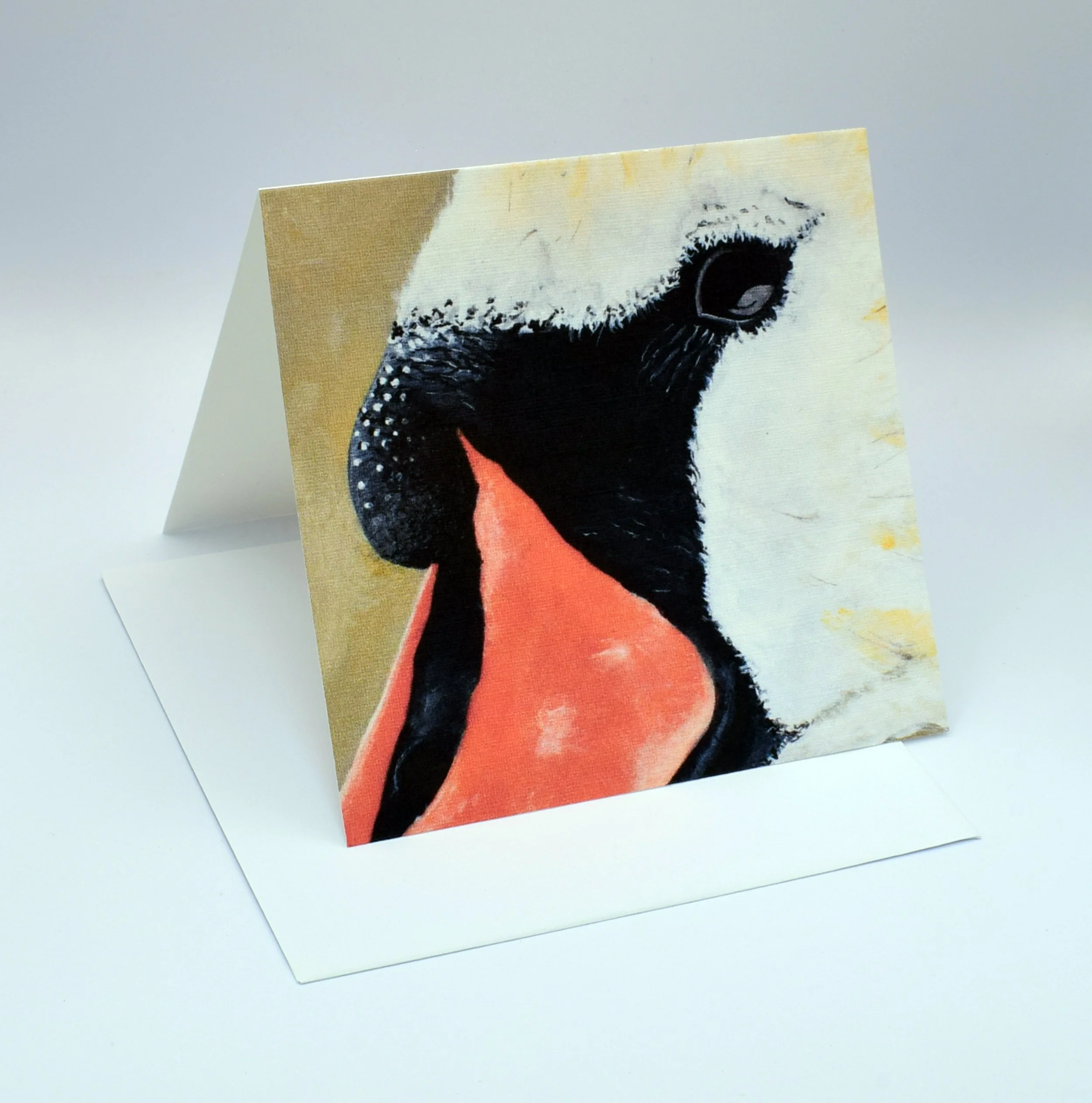 Swan two.jpg