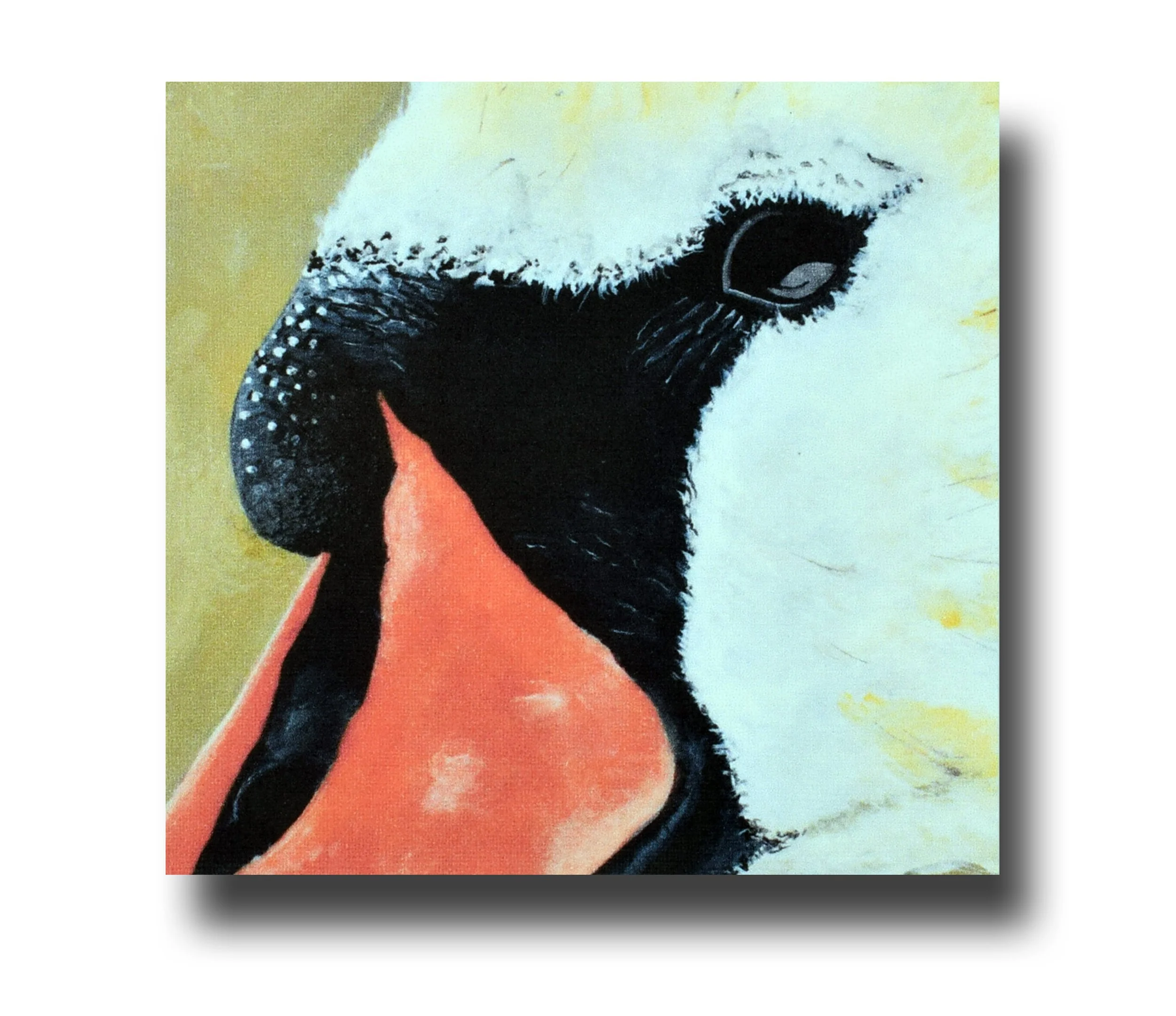 Swan.jpg